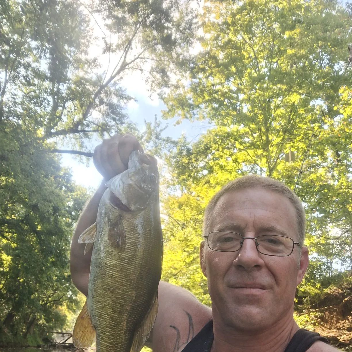 Smallmouth bass caught on Fishbrain