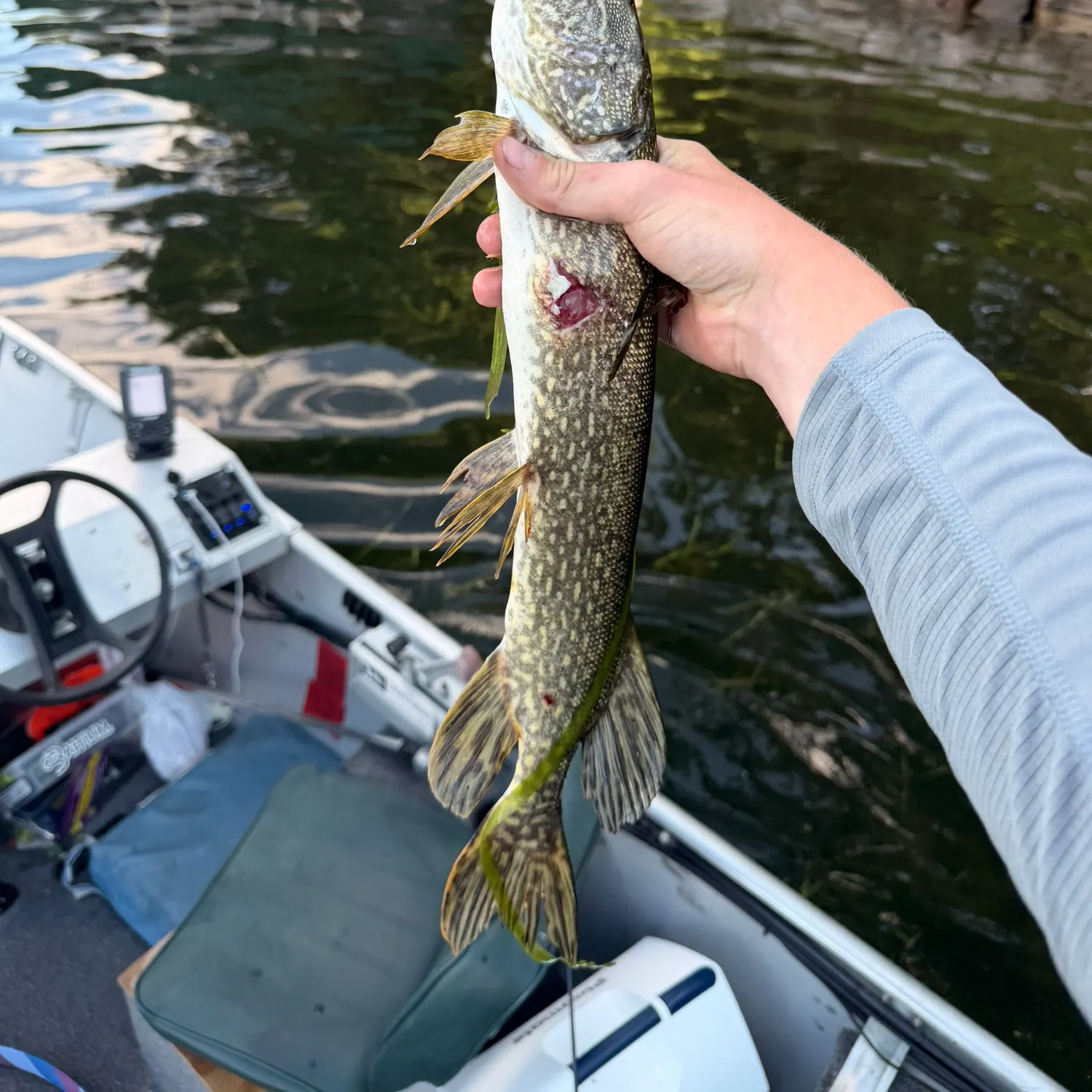 catch