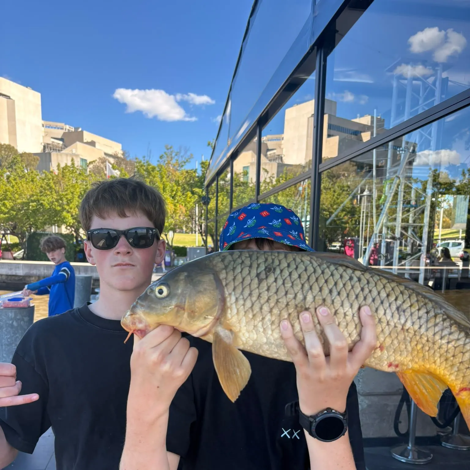 Common carp caught on Fishbrain