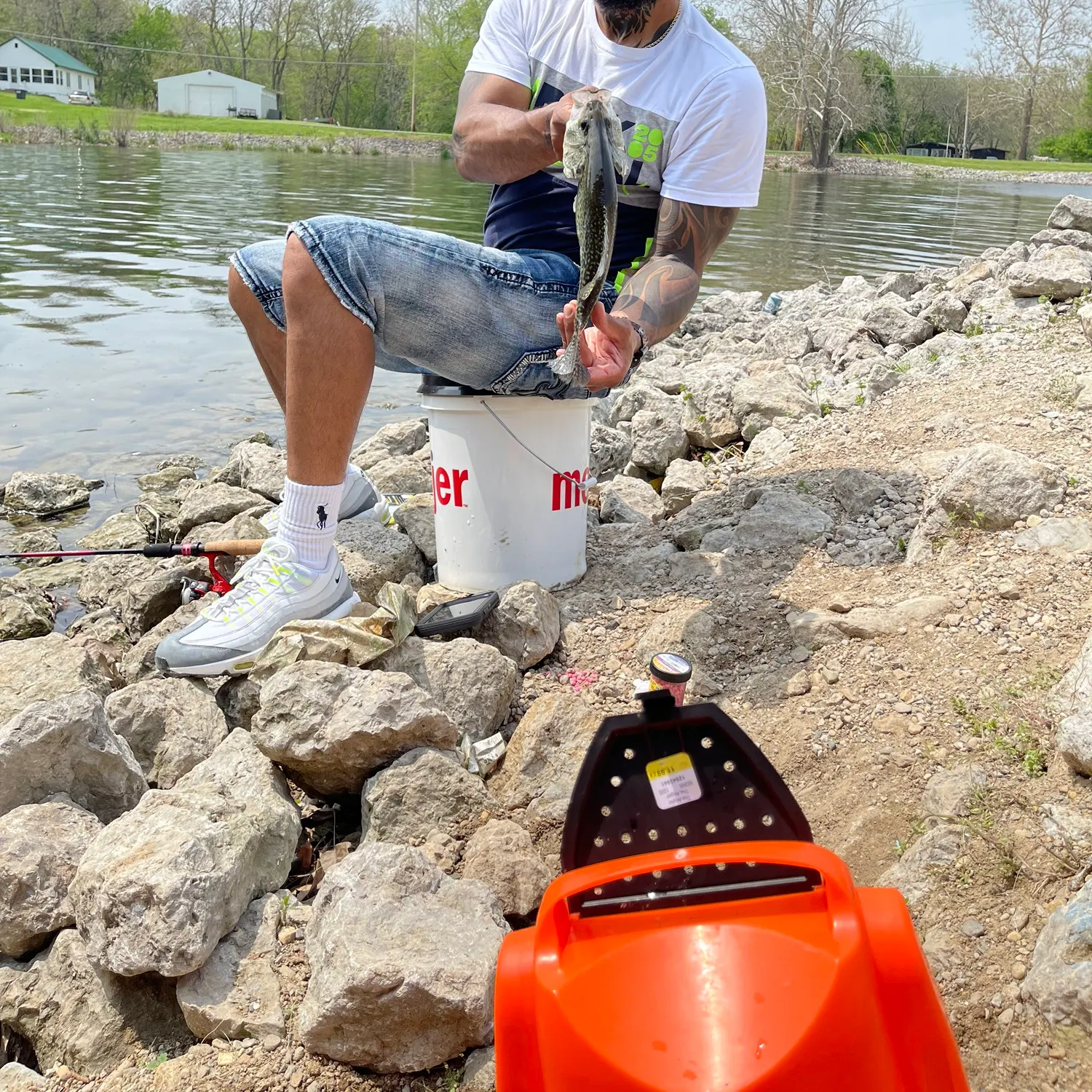 The most recent Shovelnose sturgeon catches on Fishbrain