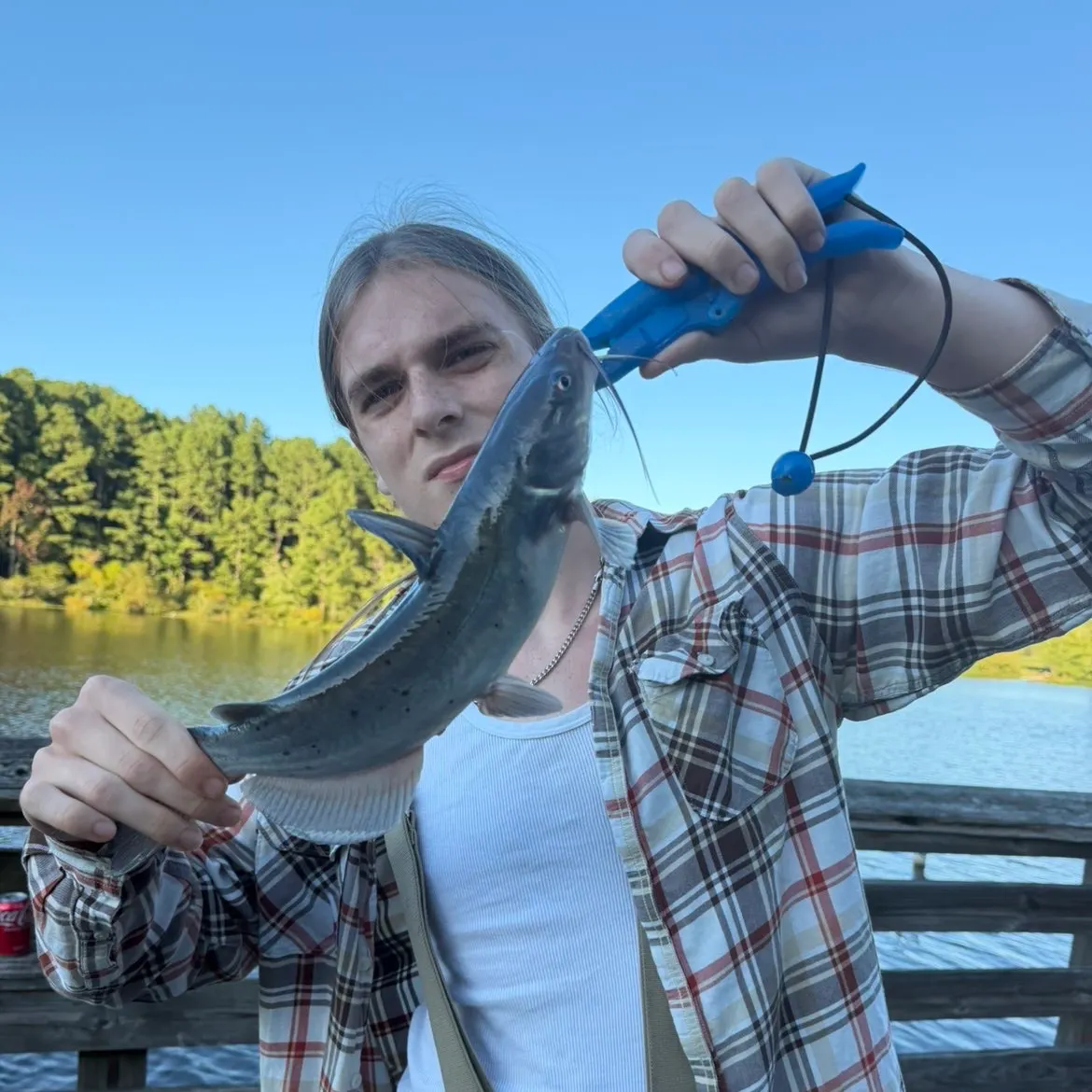 Channel catfish caught on Fishbrain