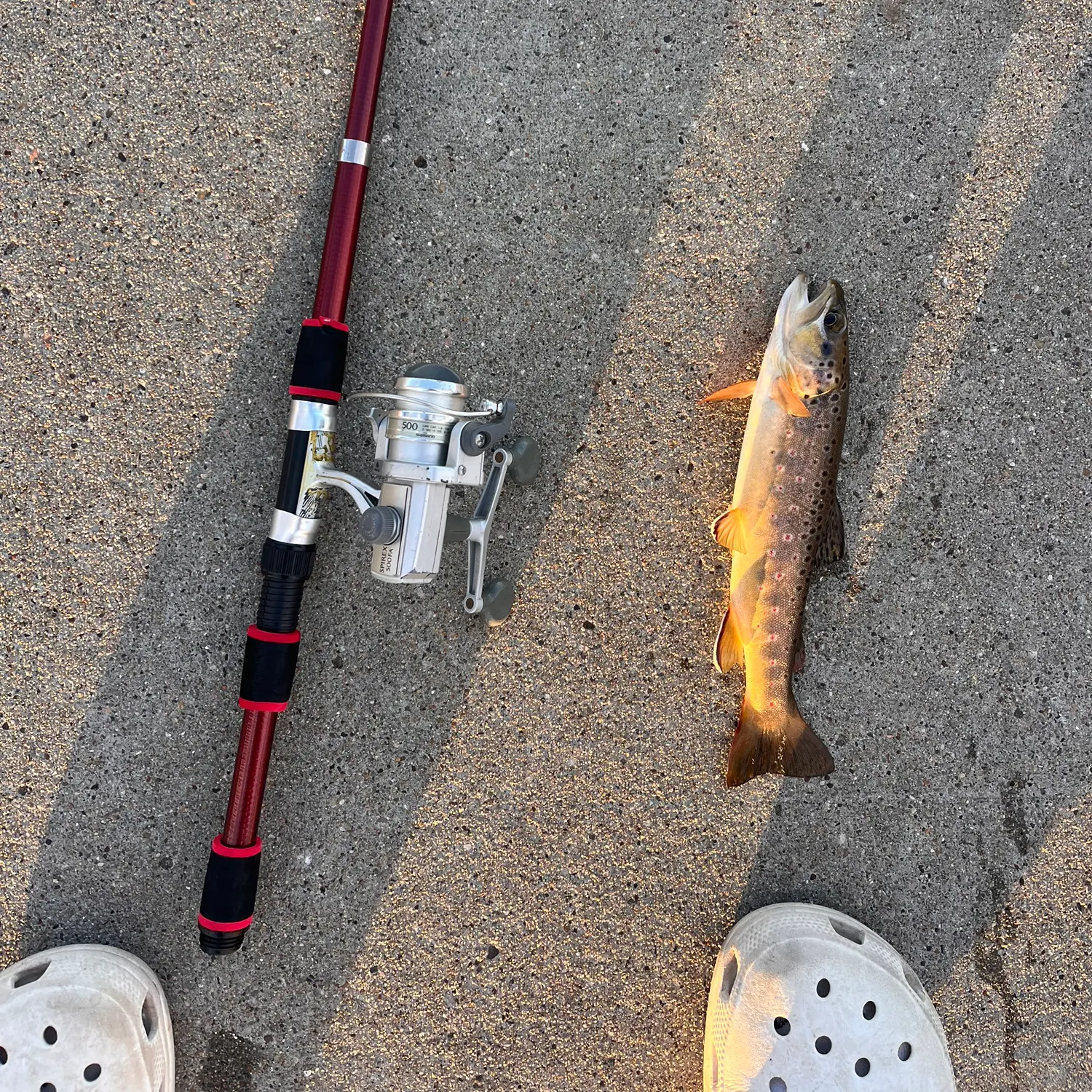 recently logged catches