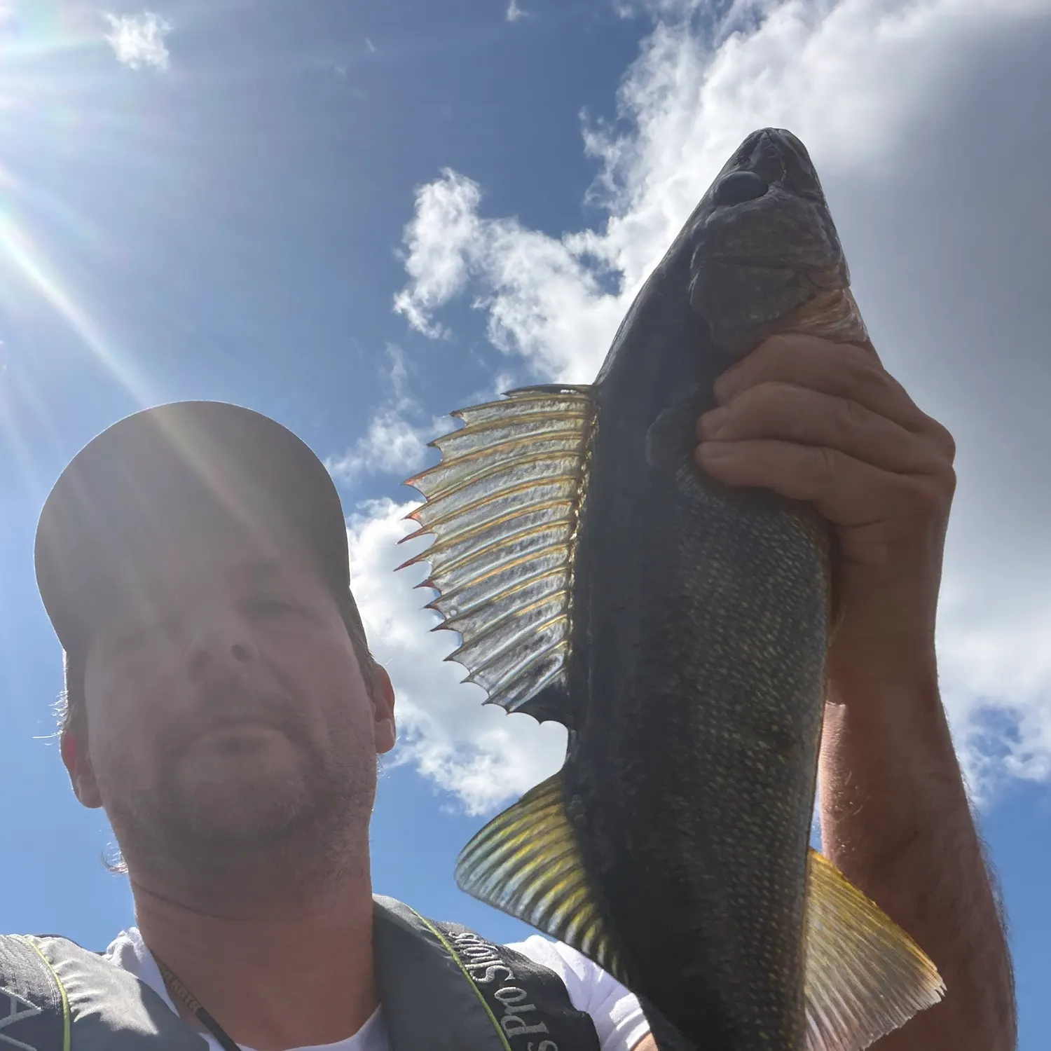 Walleye caught on Fishbrain