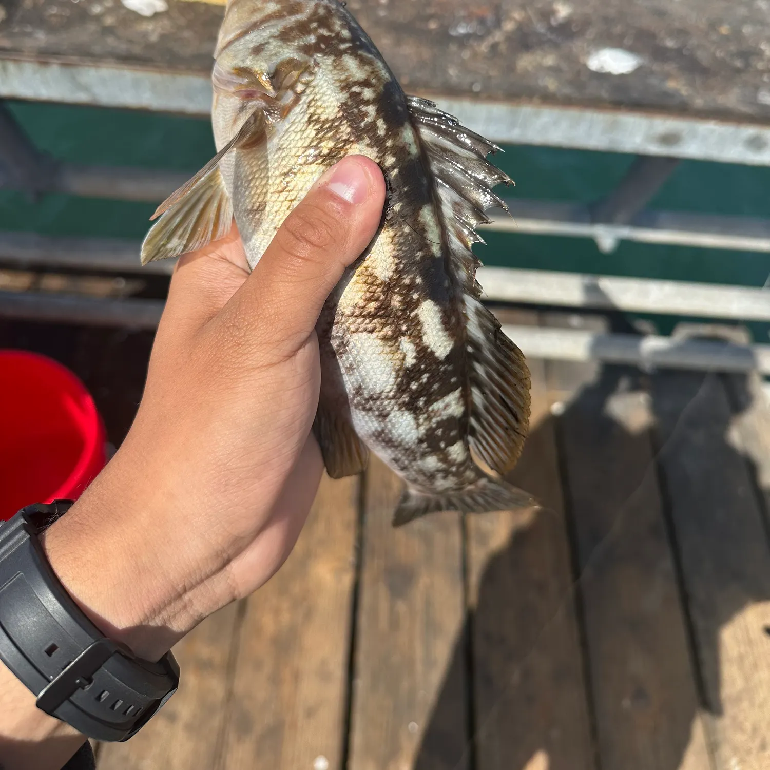 catch
