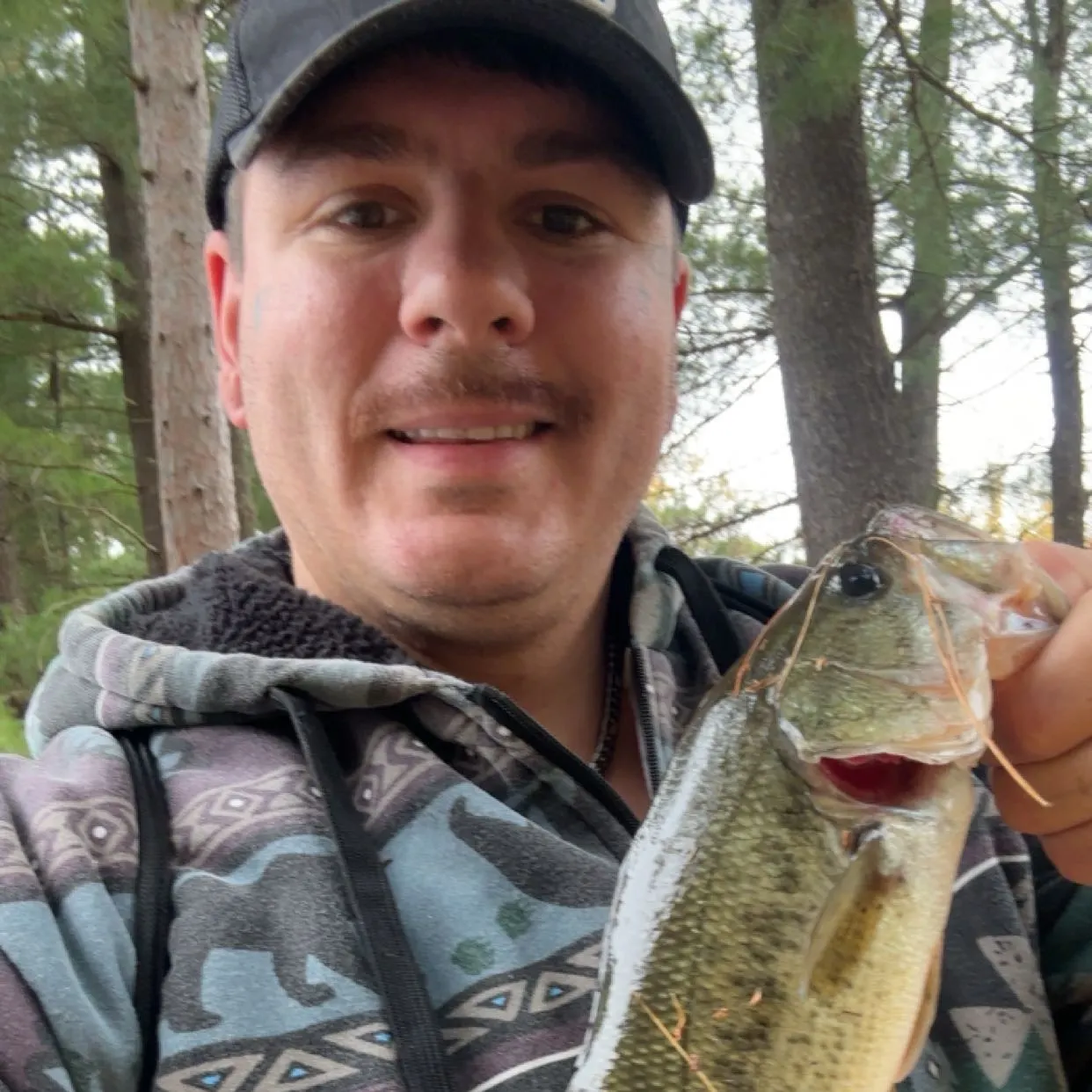 Largemouth bass caught on Fishbrain