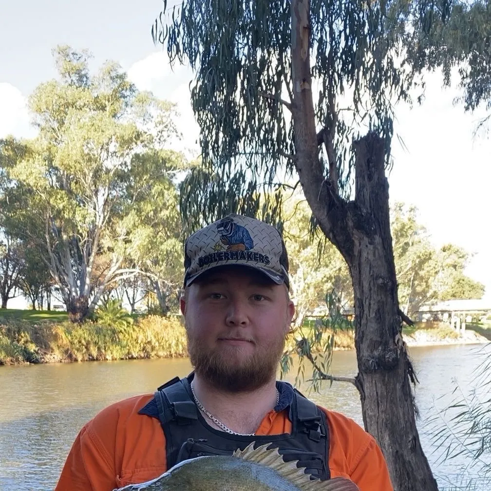 Golden perch caught on Fishbrain