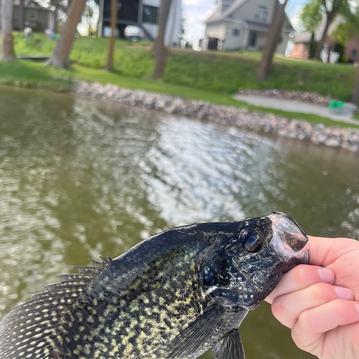 catch