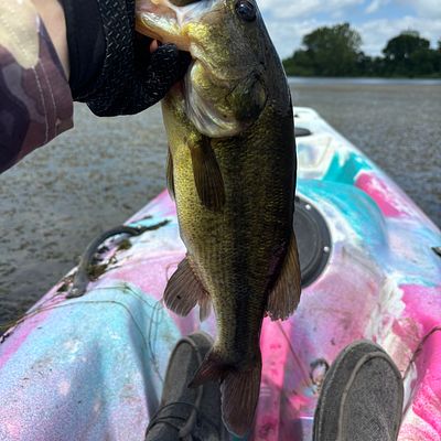 dip net fish barn sulphur springs tx Lake Sulphur Springs Fishing in