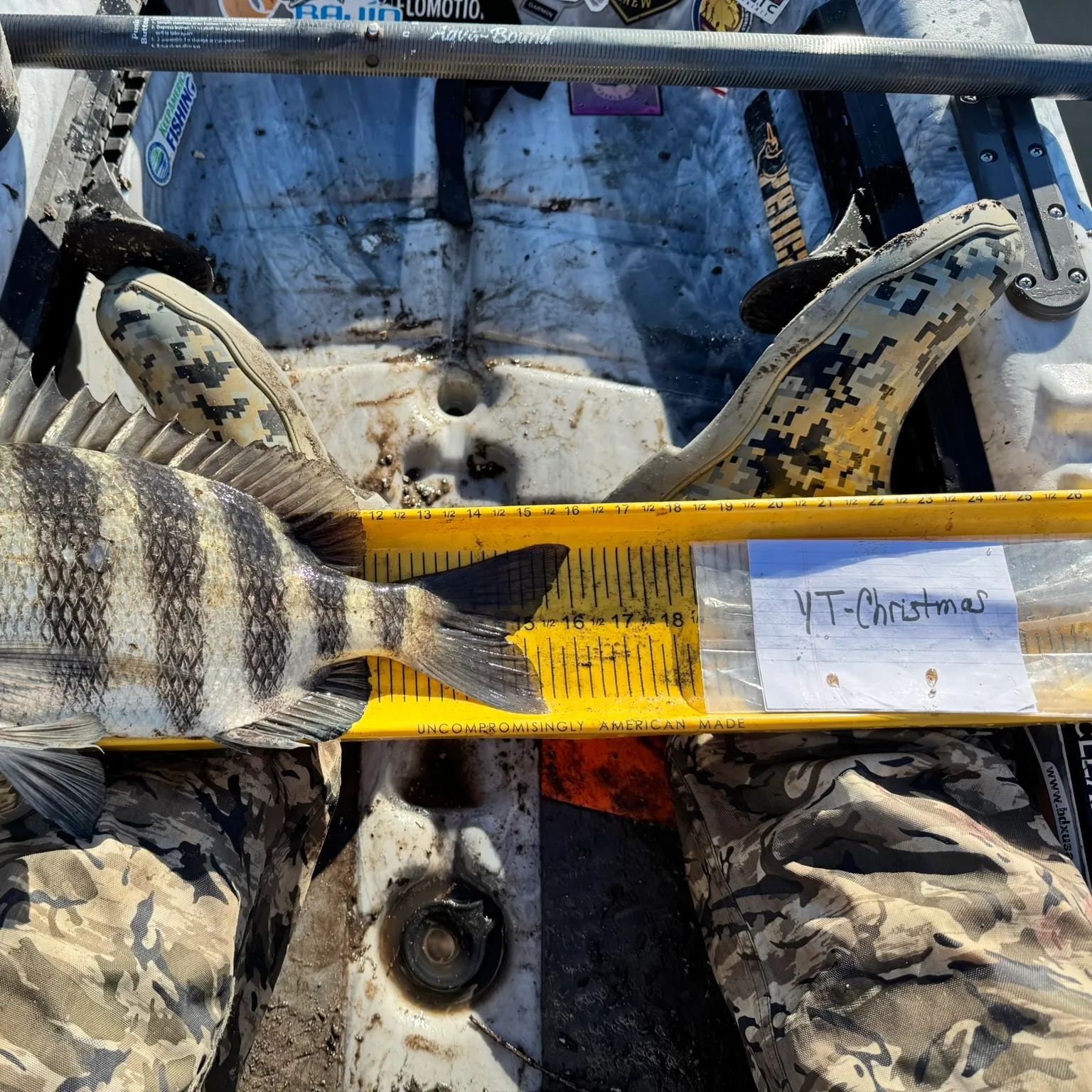 The most recent Sheepshead catches on Fishbrain