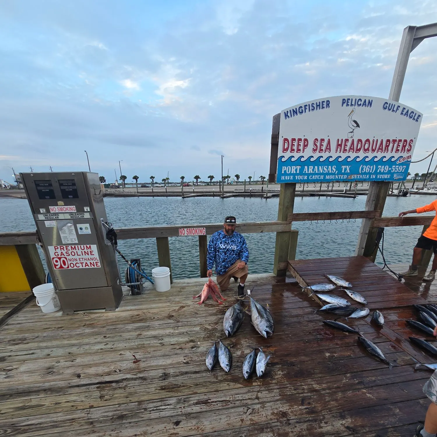 Yellowfin tuna caught on Fishbrain