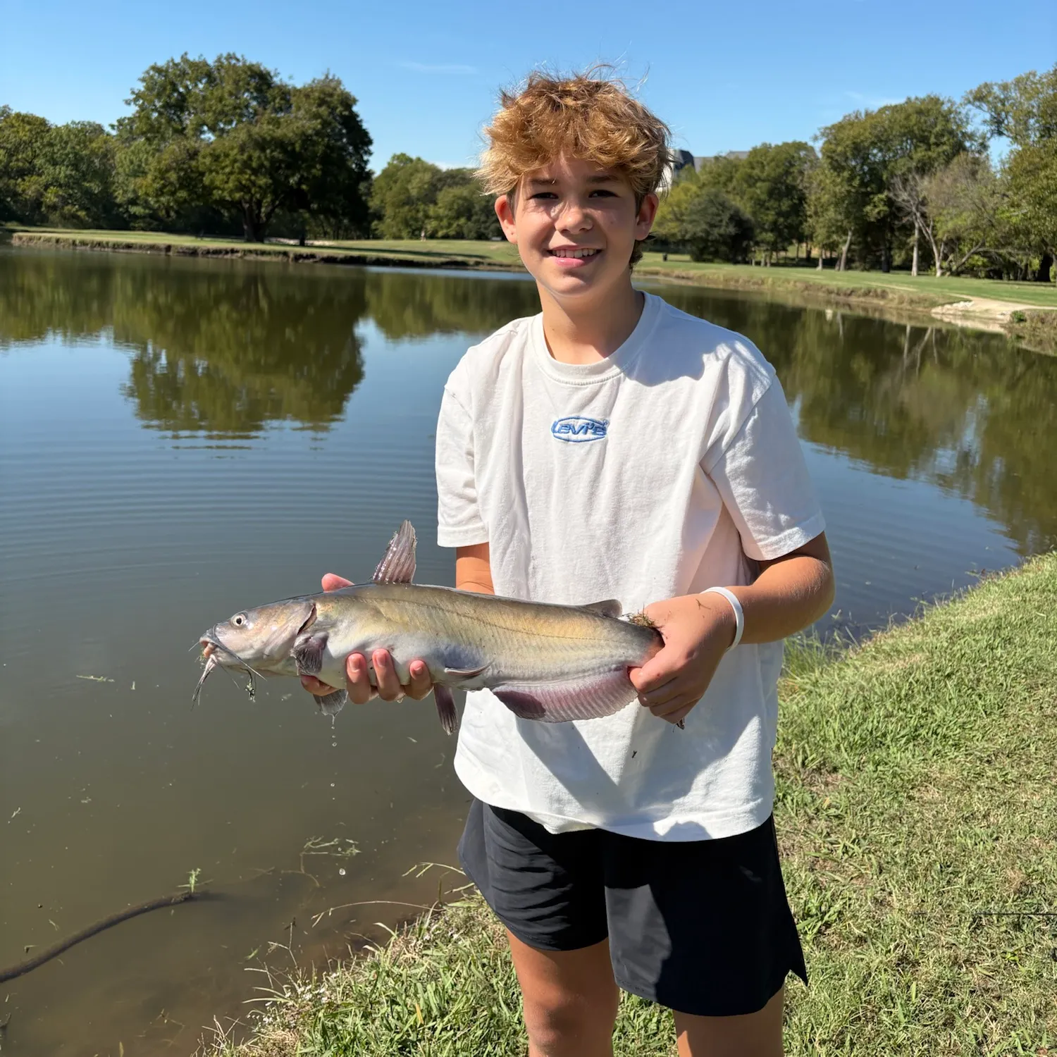Channel catfish caught on Fishbrain