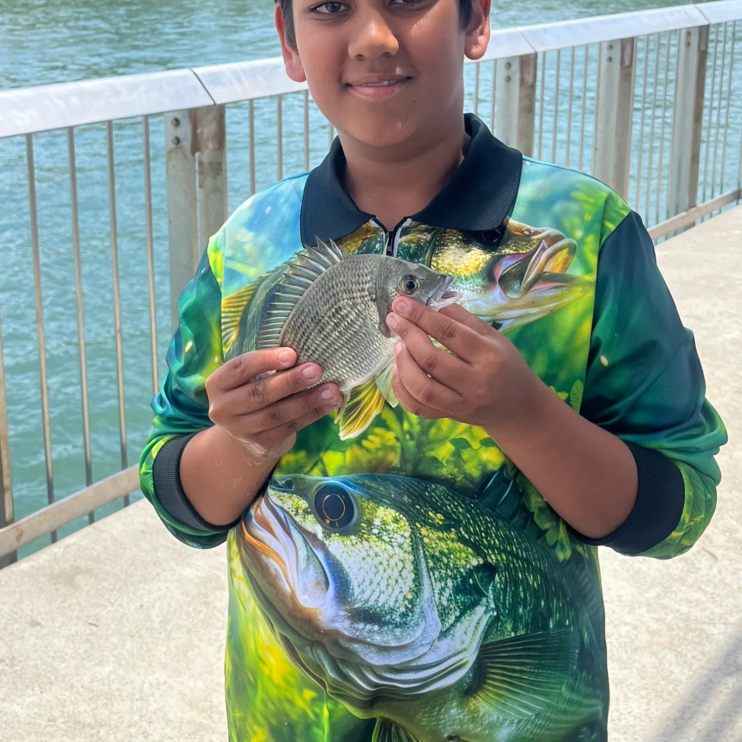 The most recent Surf bream catches on Fishbrain