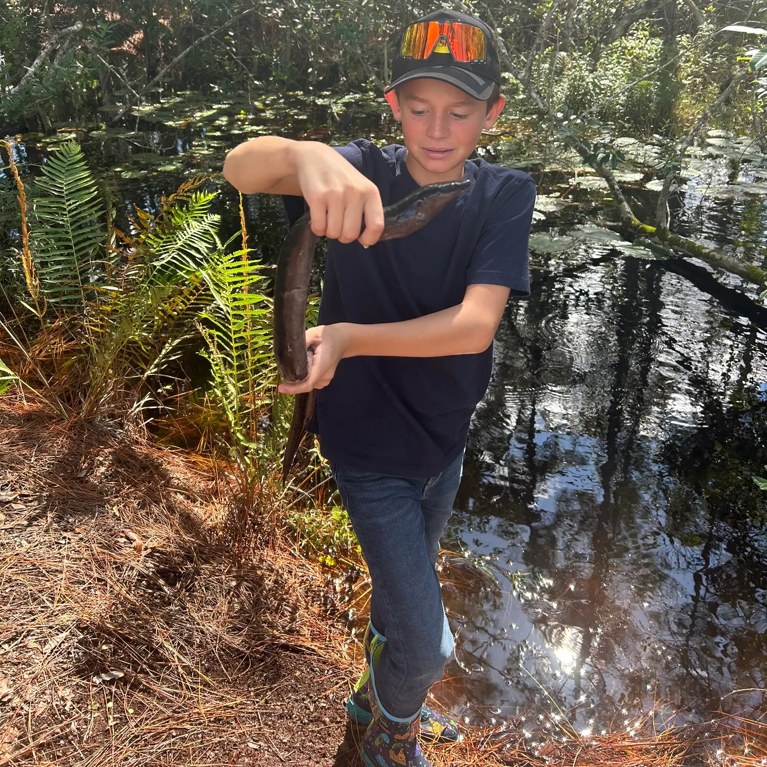 The most recent American eel catches on Fishbrain