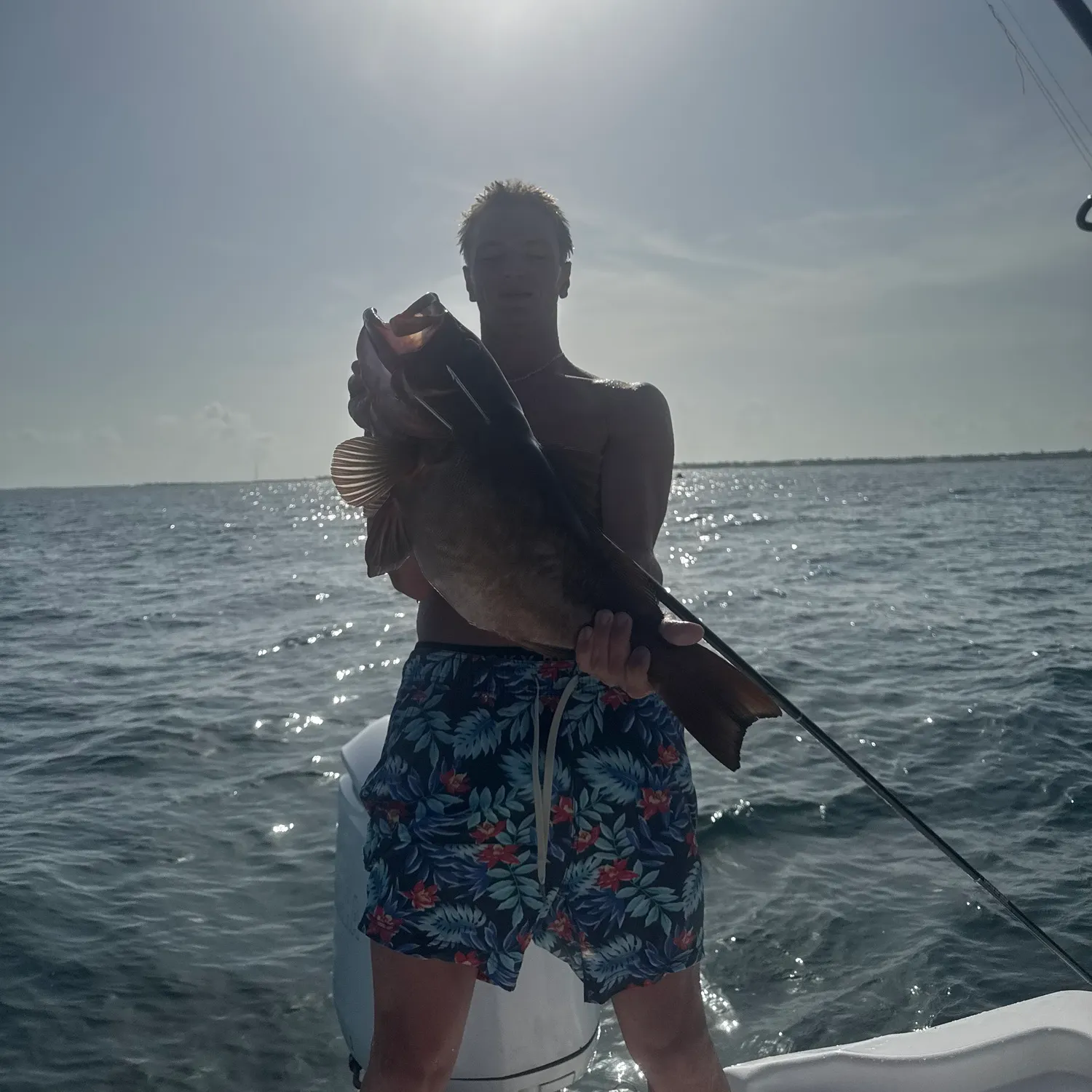 The most recent Red grouper catches on Fishbrain