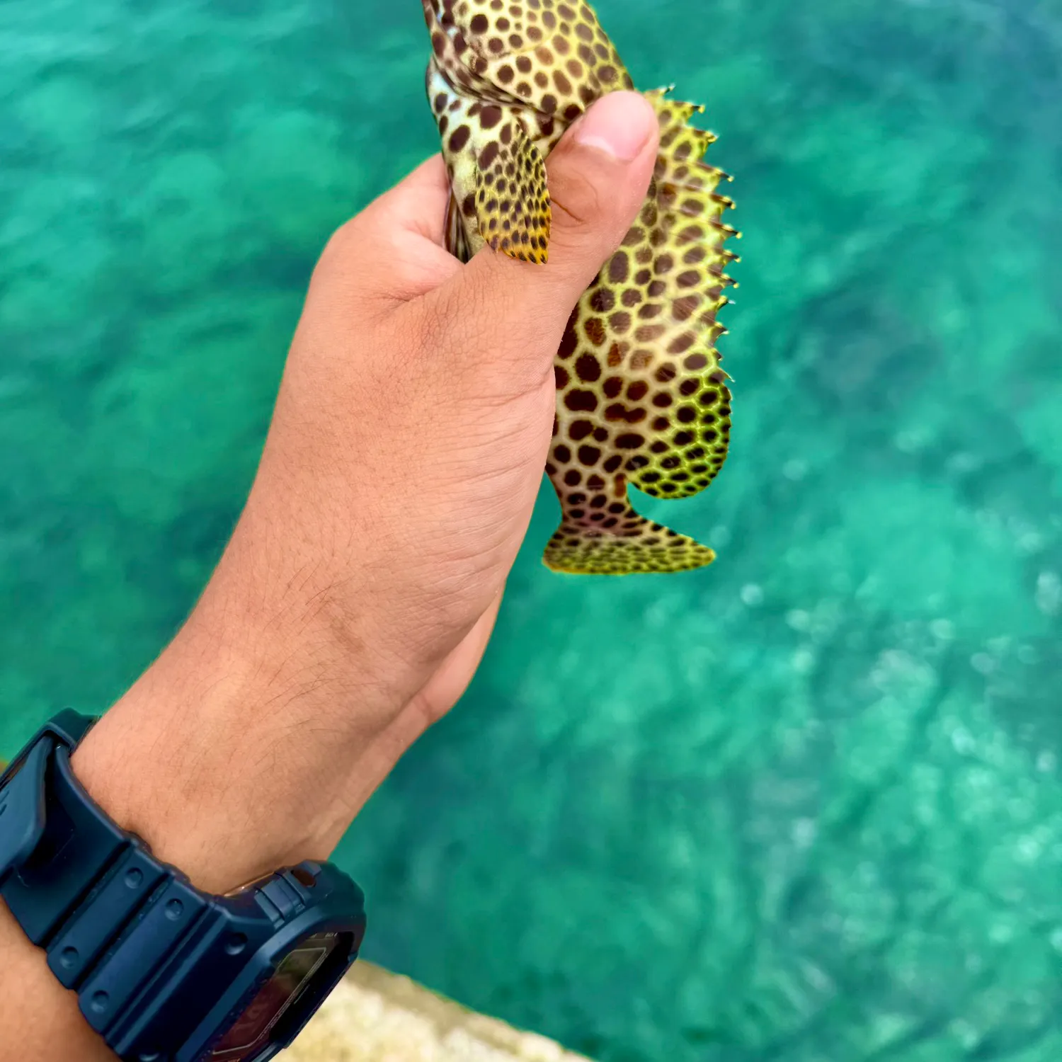 most liked catch image