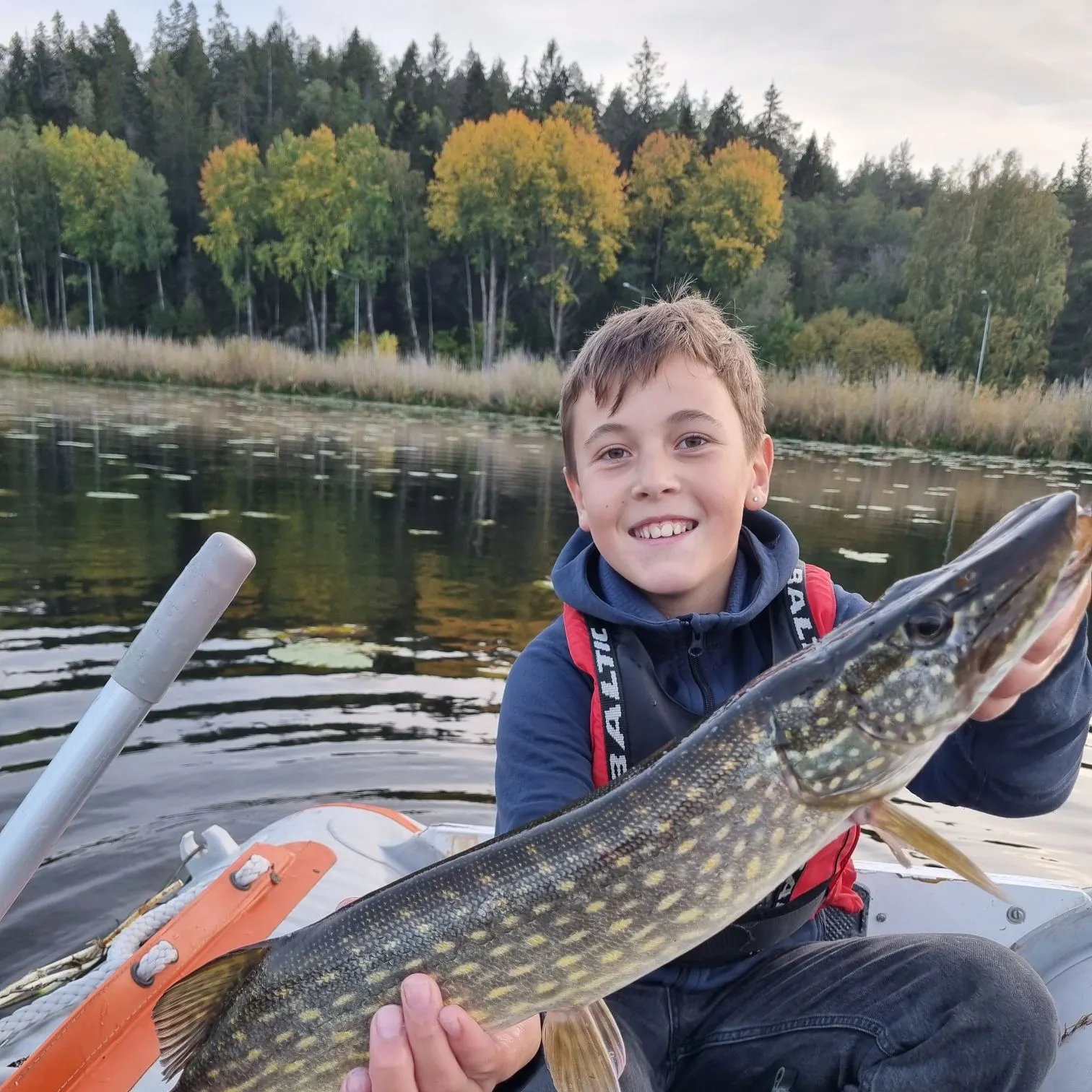 Northern pike caught on Fishbrain