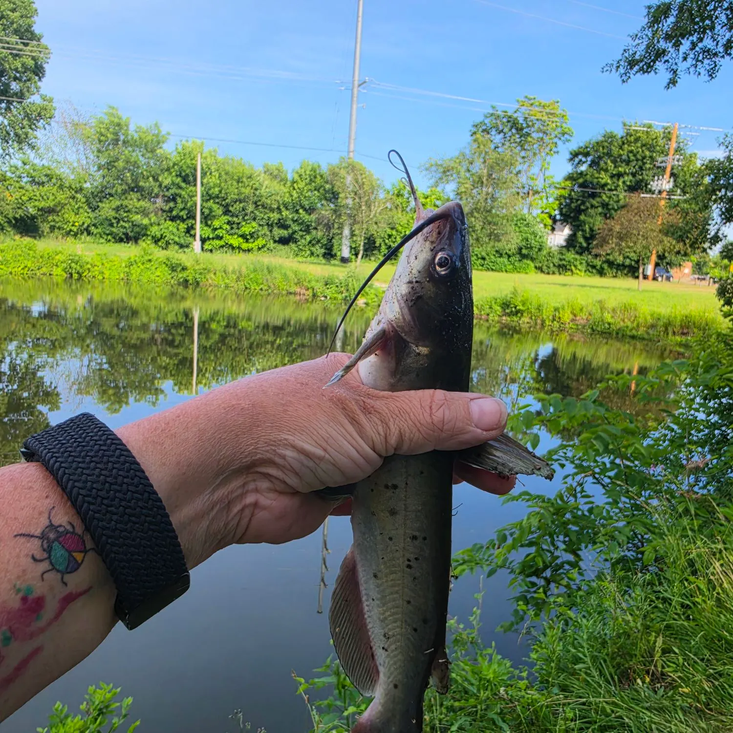 catch