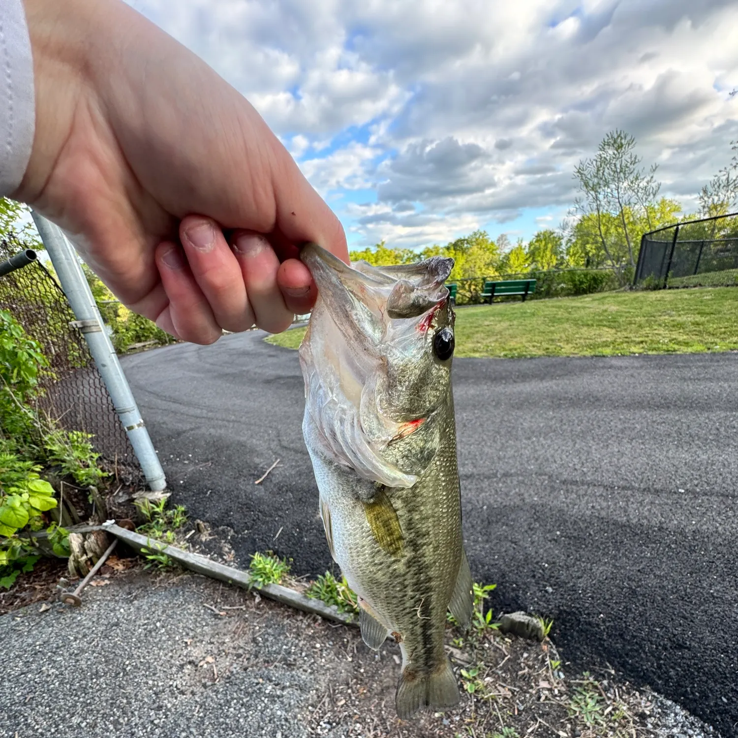 catch