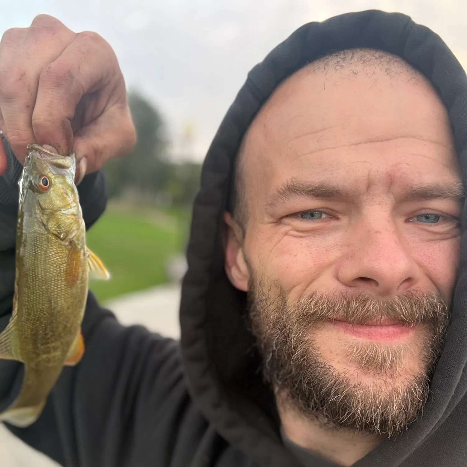 Smallmouth bass caught on Fishbrain