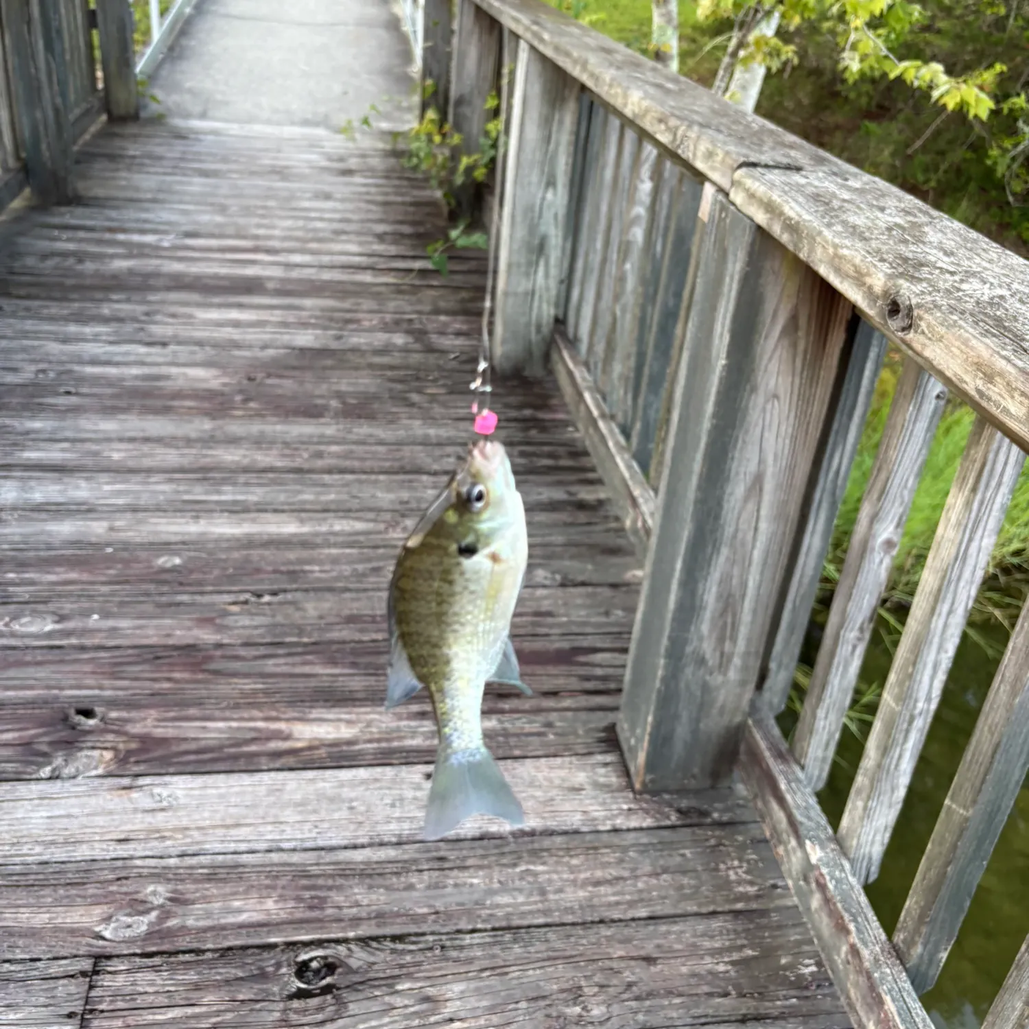 catch