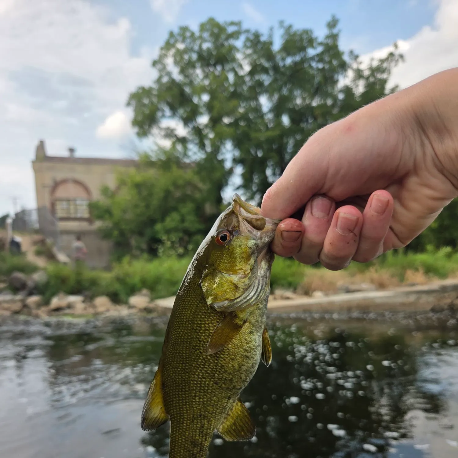 catch