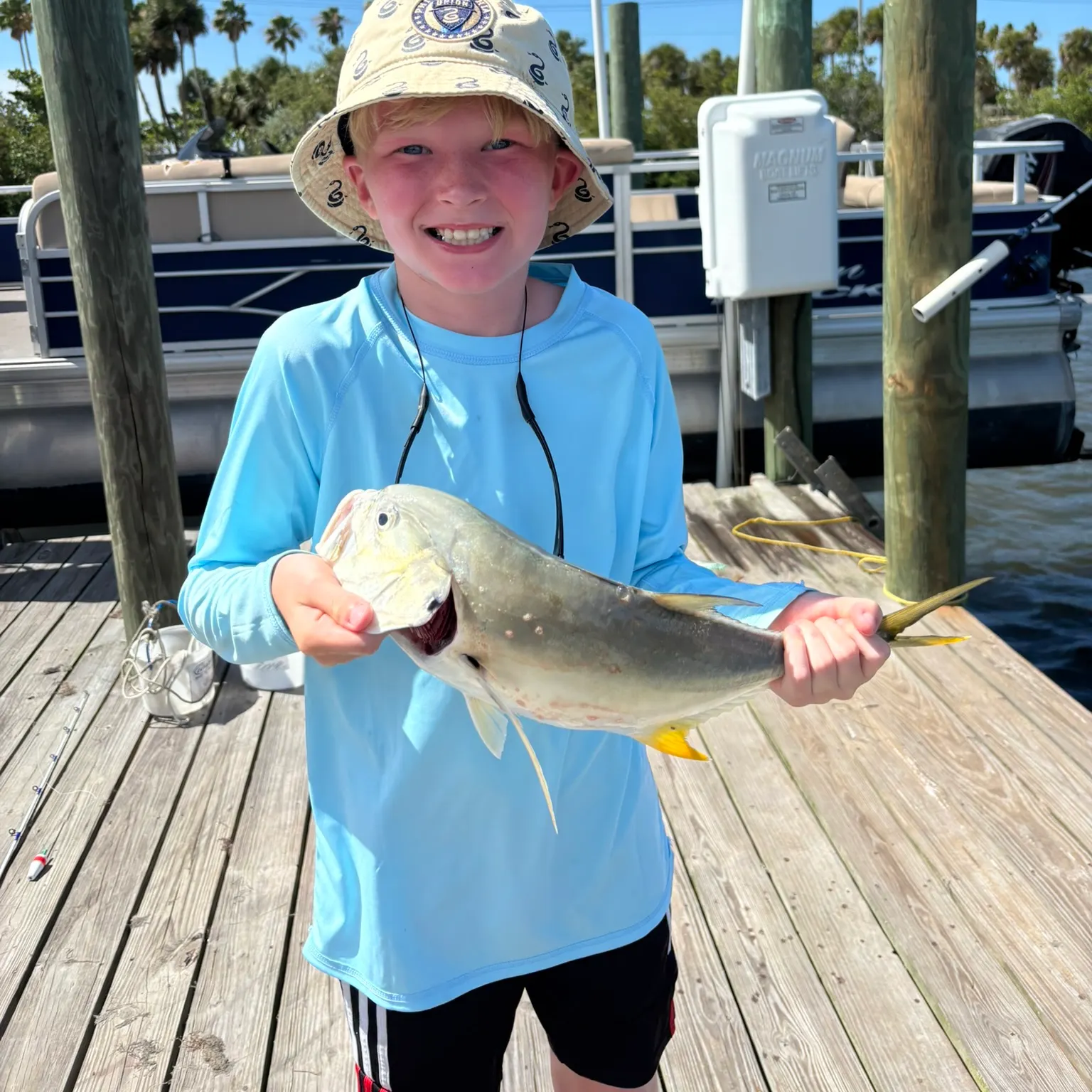 The most recent Southern yellowtail amberjack catches on Fishbrain