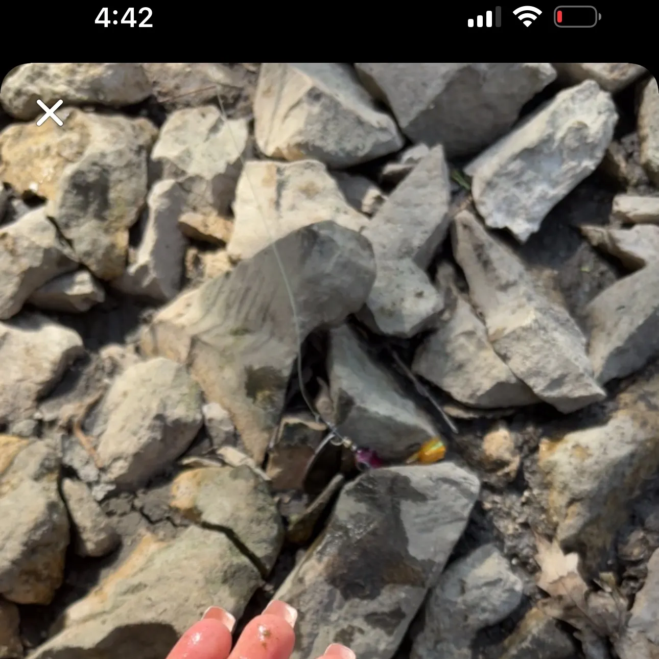 catch