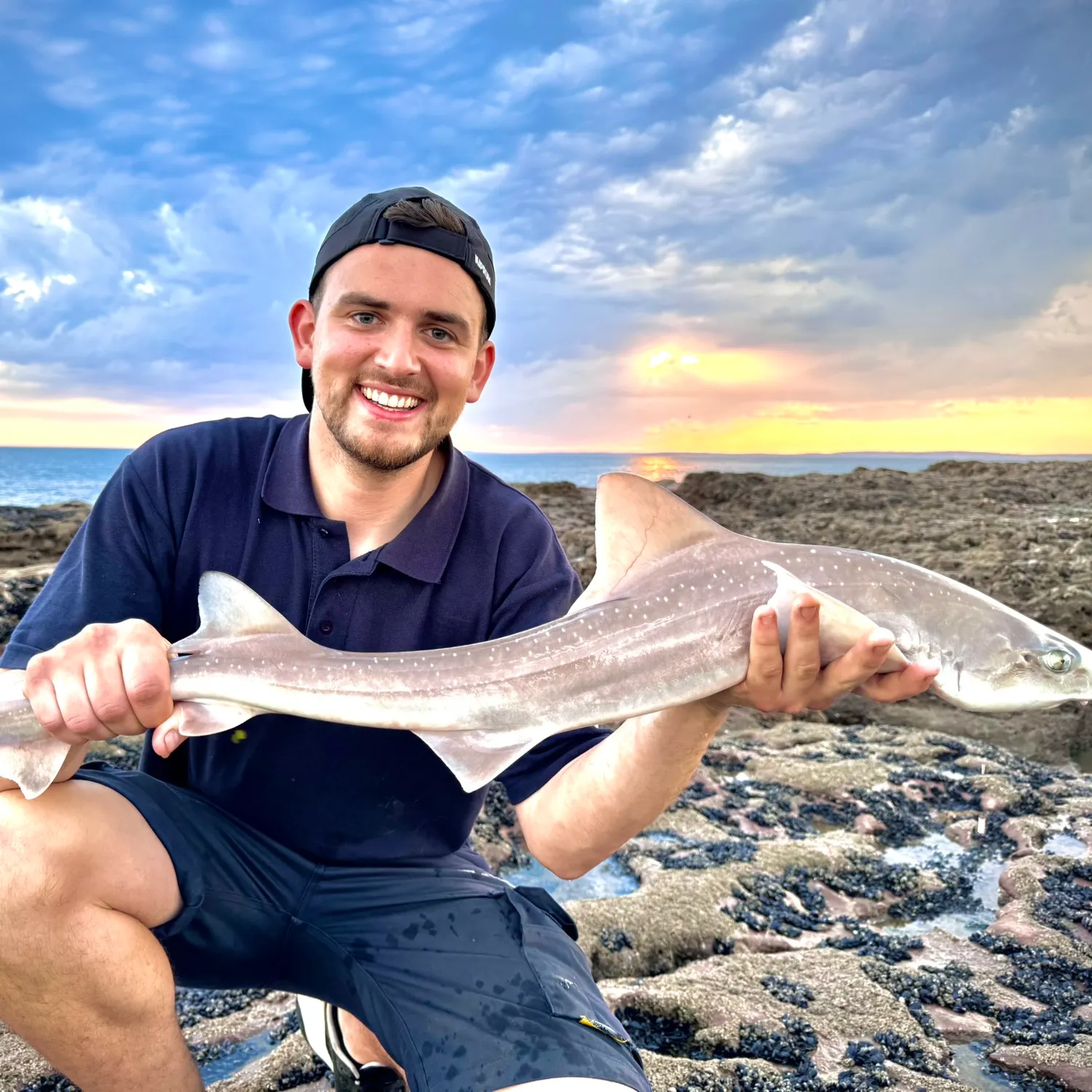 The most recent Starry smooth-hound catches on Fishbrain