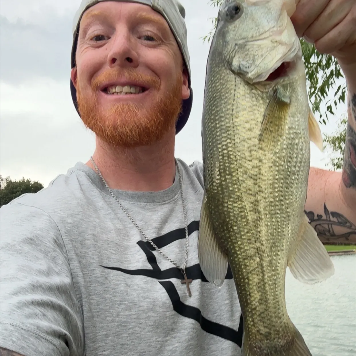 Largemouth bass caught on Fishbrain