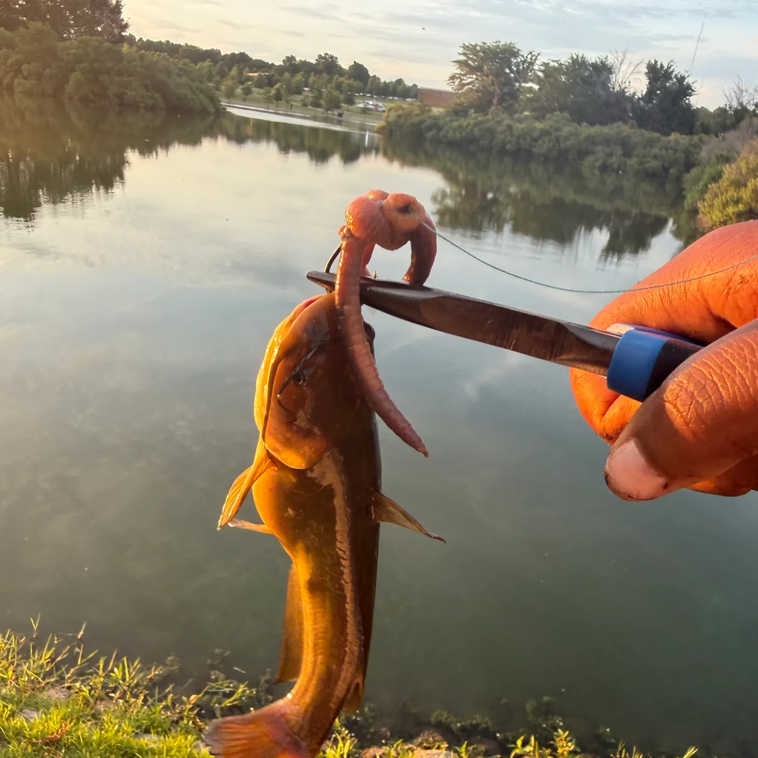 catch