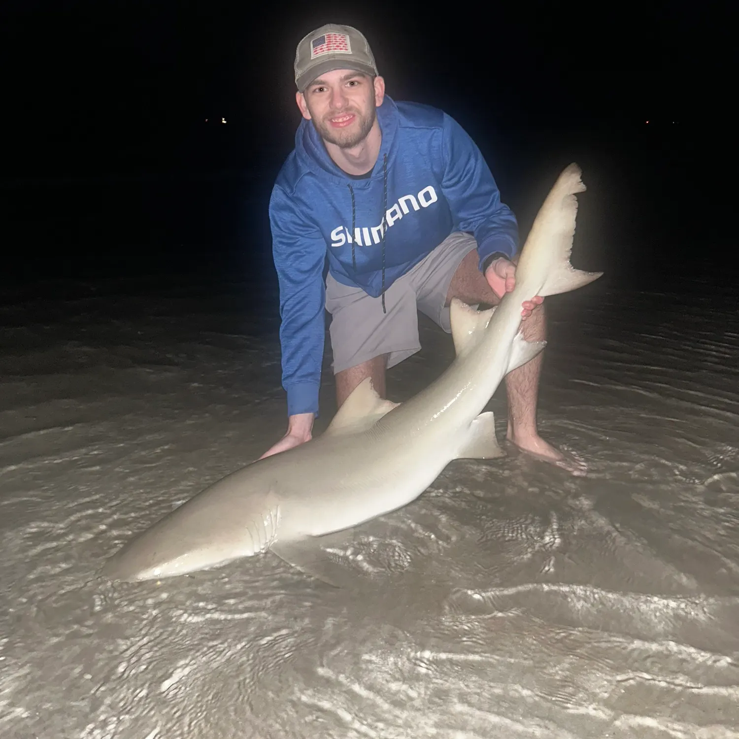 The most recent Lemon shark catches on Fishbrain