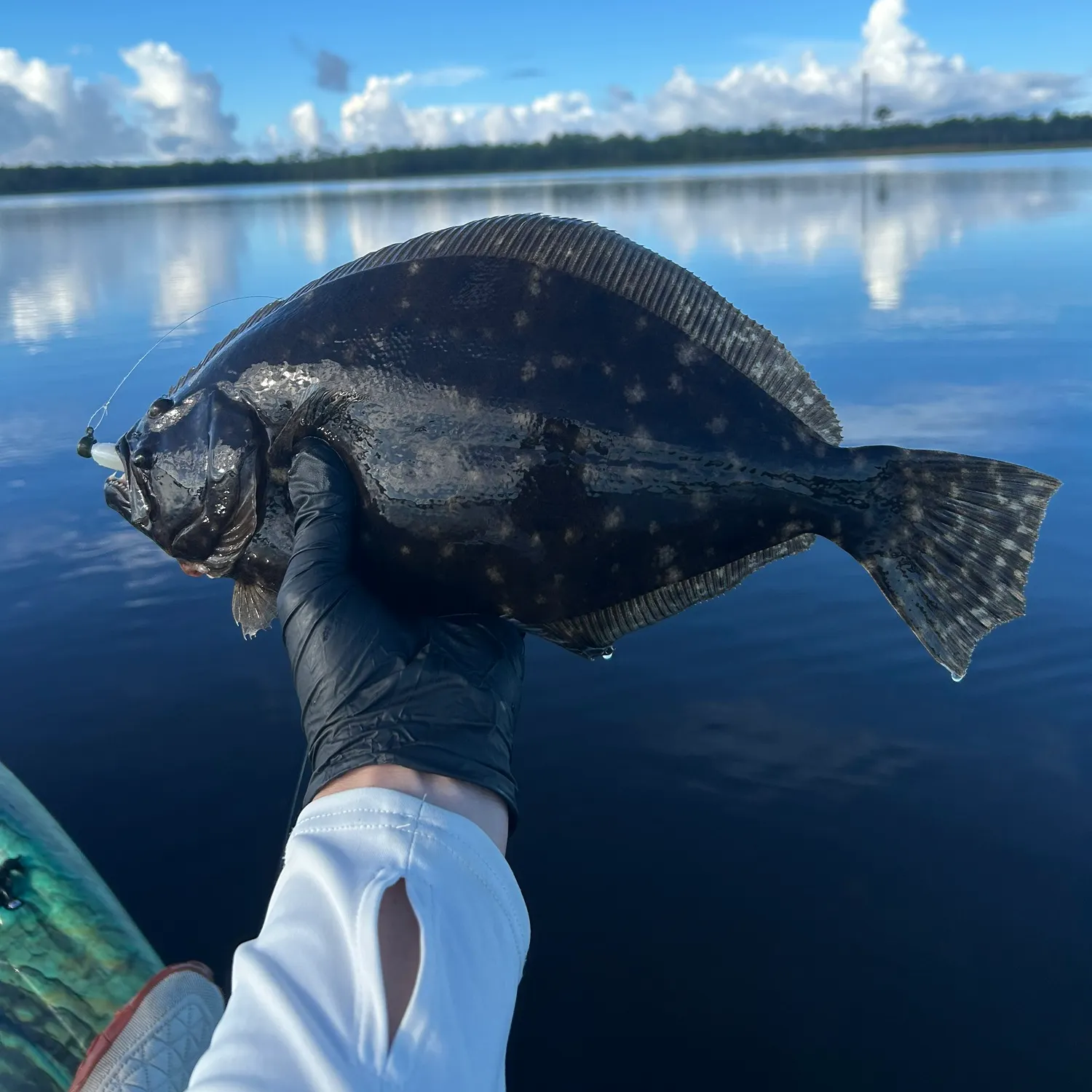 Summer flounder caught on Fishbrain