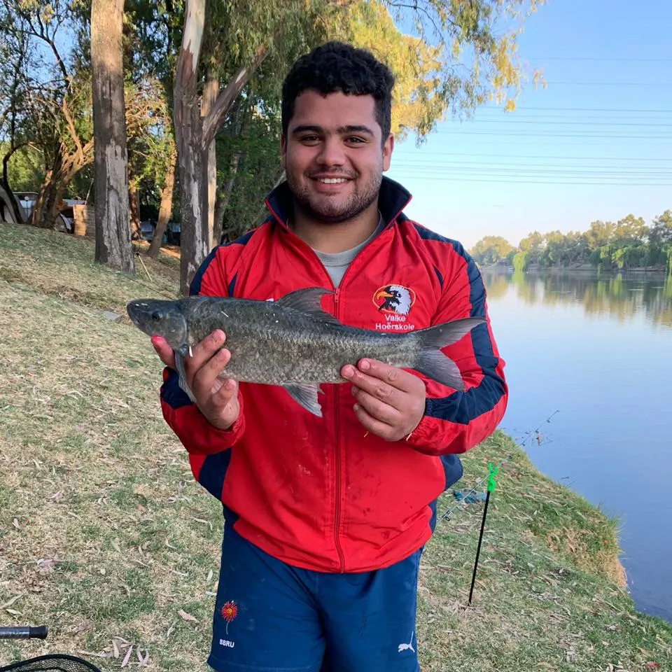 The most recent River carpsucker catches on Fishbrain