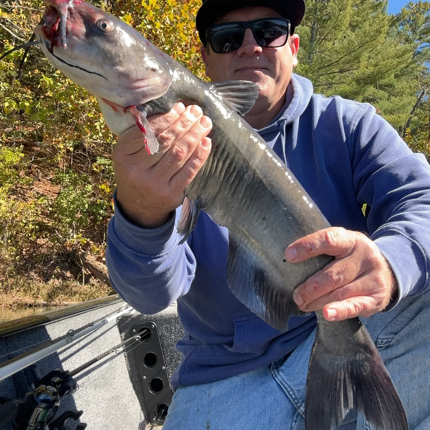 Channel catfish caught on Fishbrain