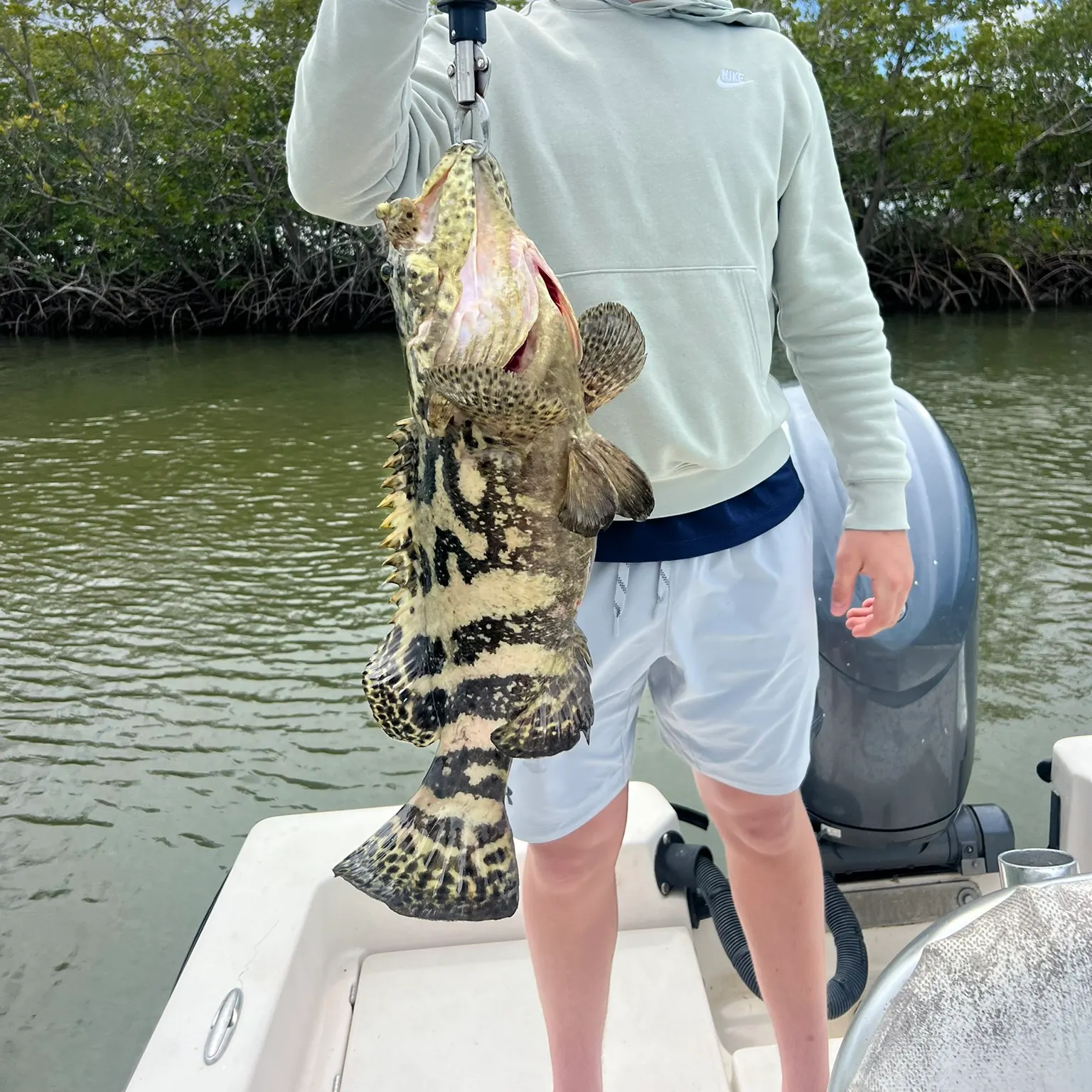 The most recent Pacific goliath grouper catches on Fishbrain