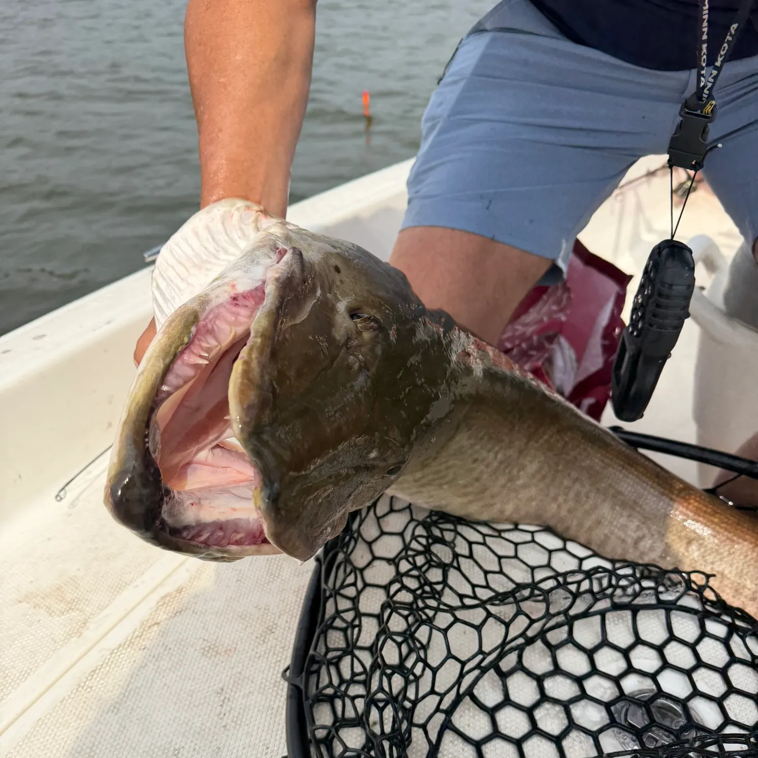 catch