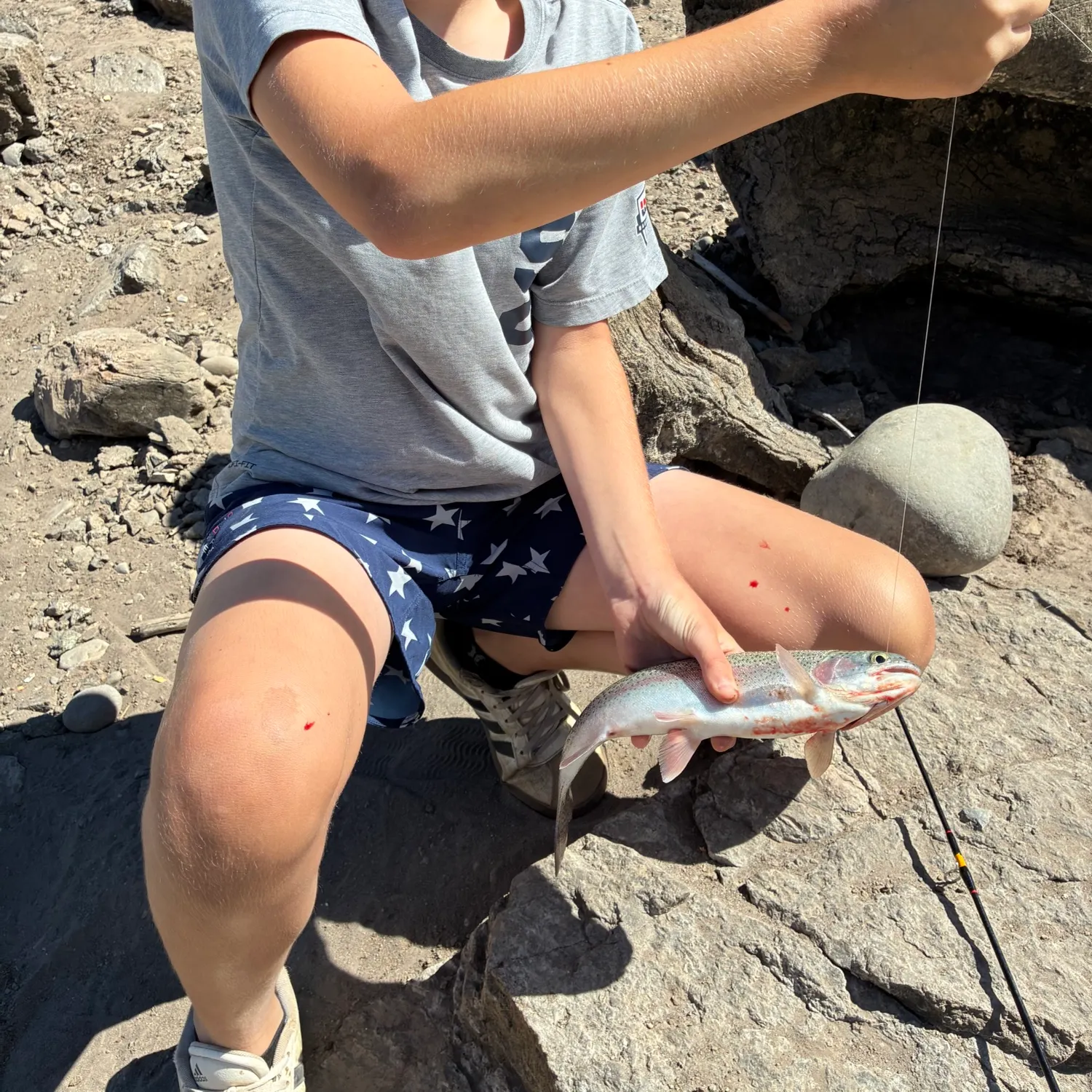 Rainbow trout caught on Fishbrain
