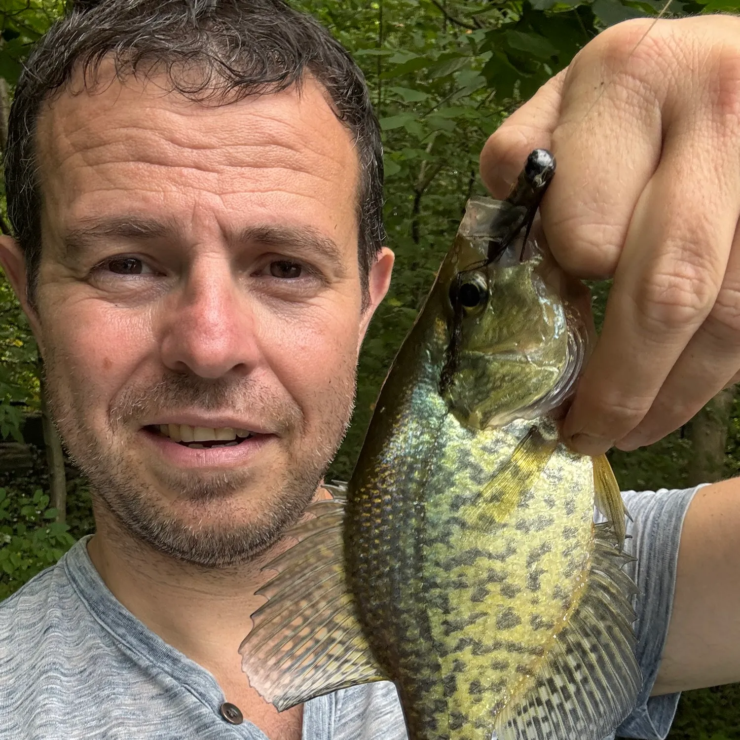 Black crappie caught on Fishbrain