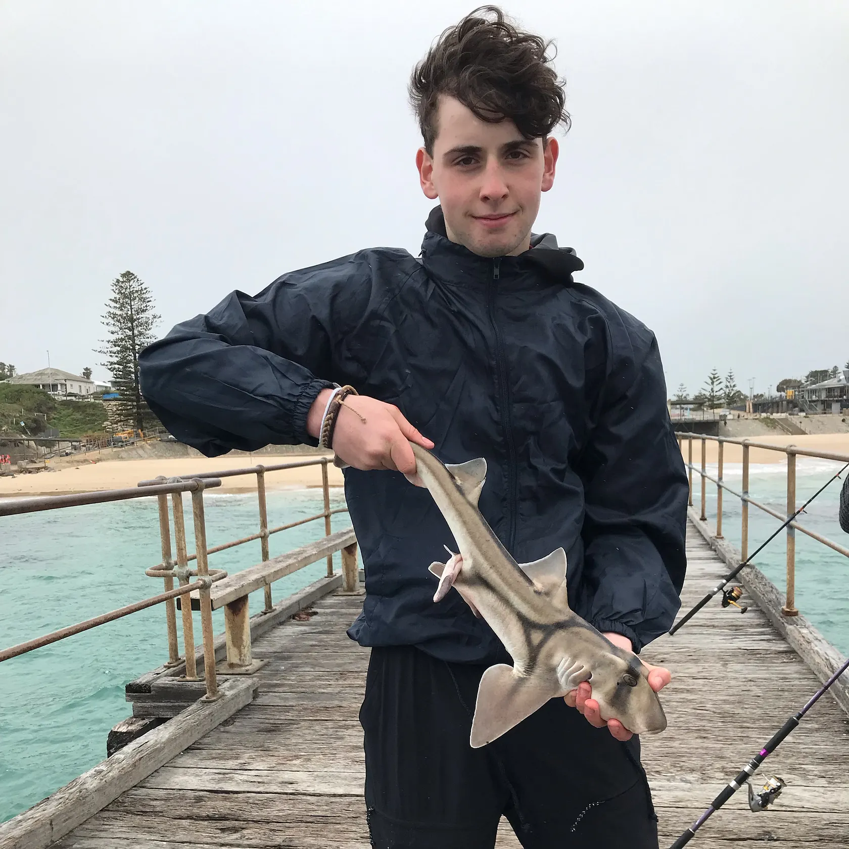 ᐅ Port Noarlunga Jetty fishing reports🎣• South Australia, Australia fishing