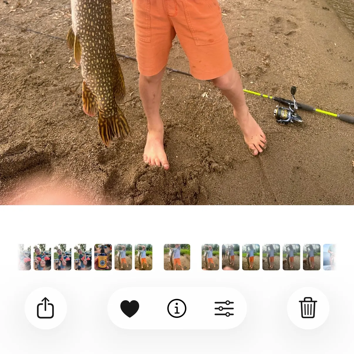 Northern pike caught on Fishbrain