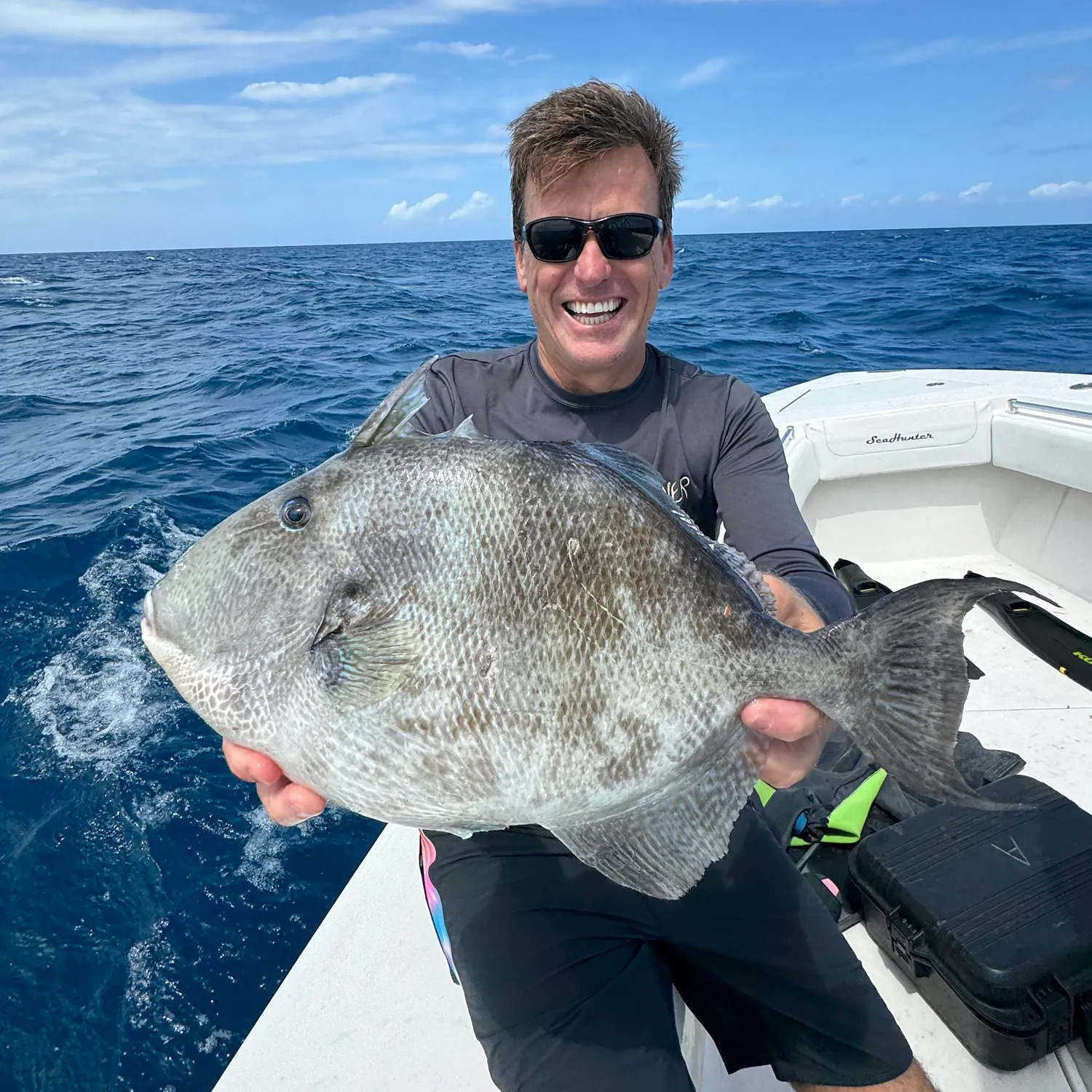 The most popular recent Grey triggerfish catch on Fishbrain