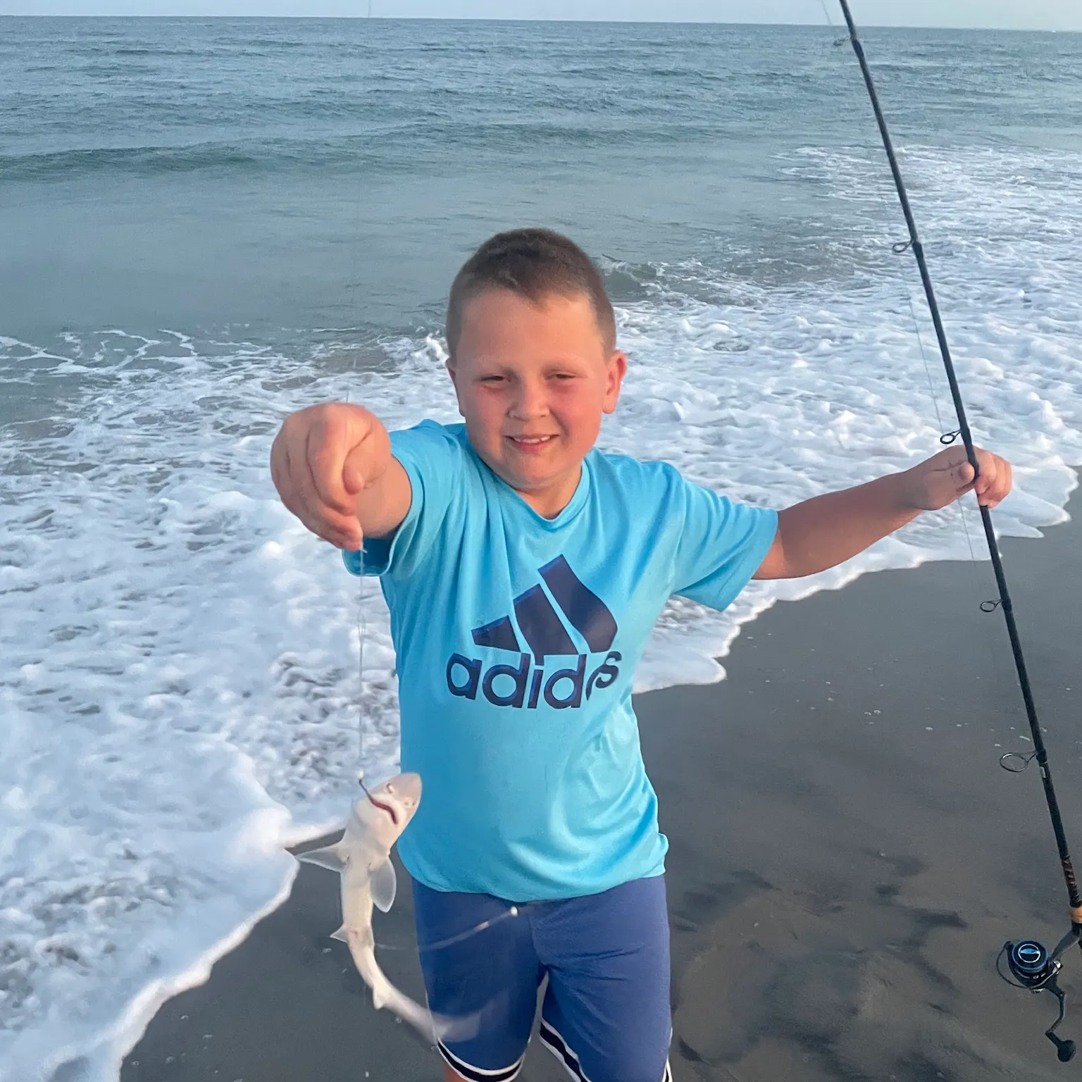 The most recent Dusky smooth-hound catches on Fishbrain