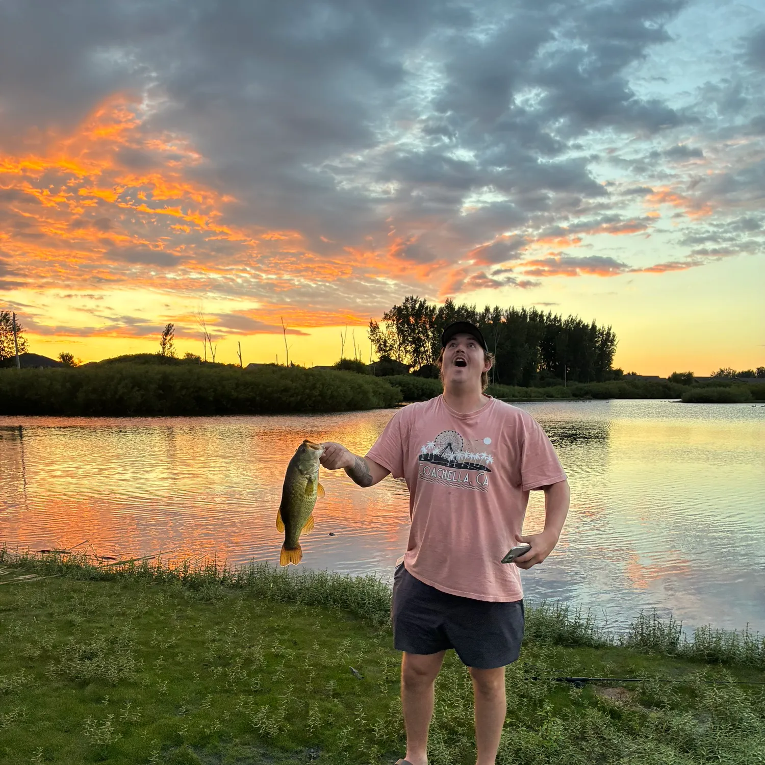 Largemouth bass caught on Fishbrain