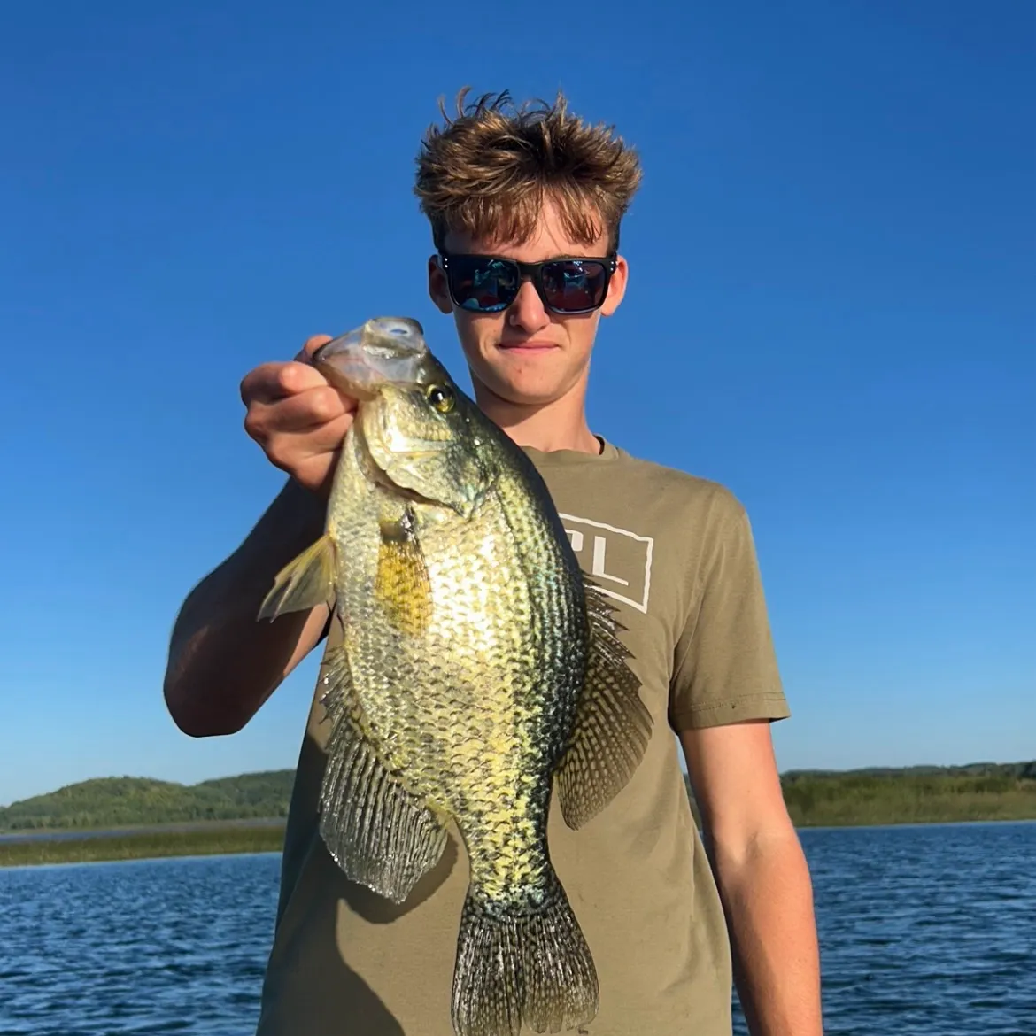 Black crappie caught on Fishbrain