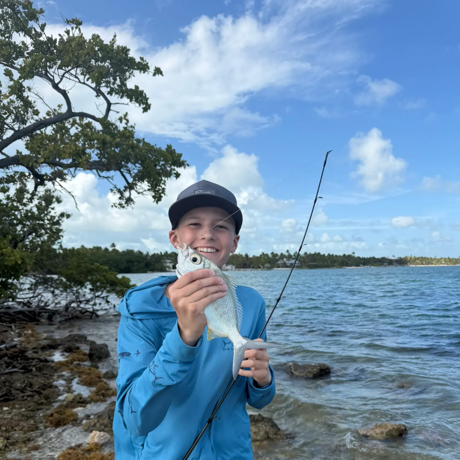 The most recent Striped seabream catches on Fishbrain