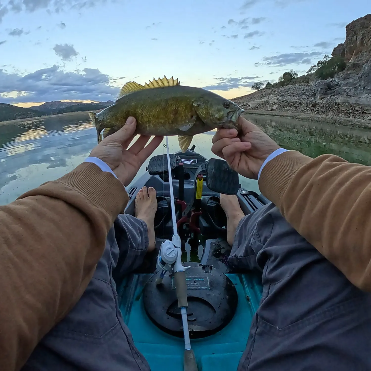 Smallmouth bass caught on Fishbrain