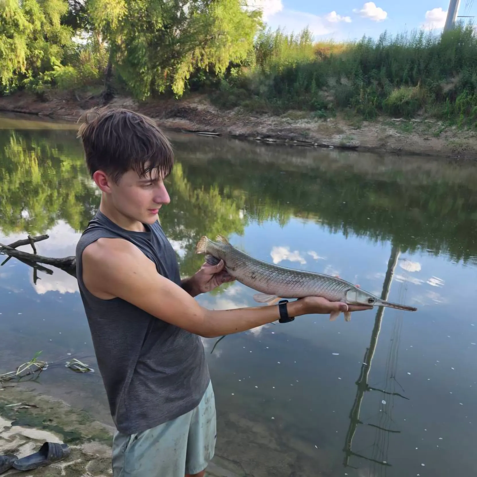 Spotted gar caught on Fishbrain