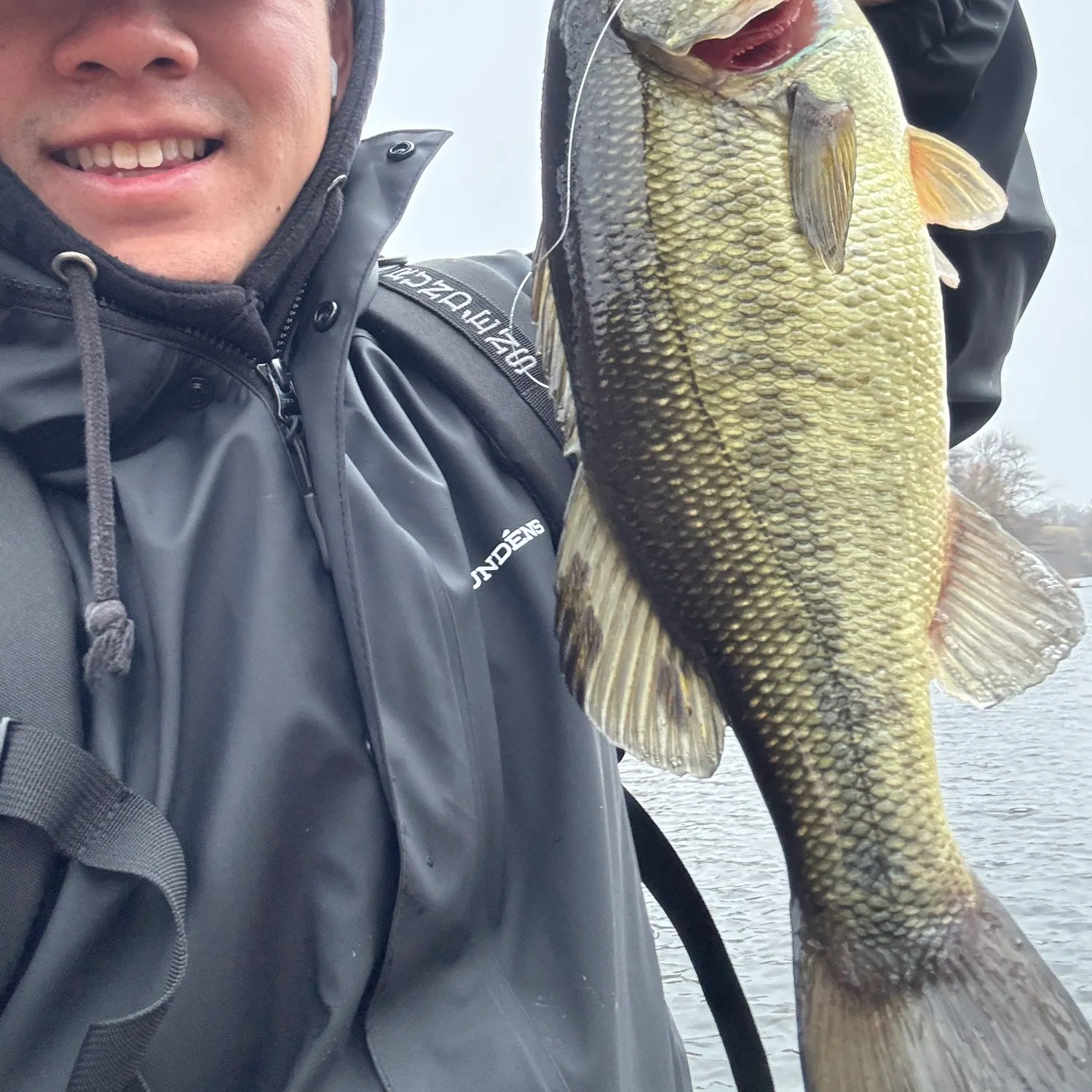 The most recent Largemouth bass catches on Fishbrain