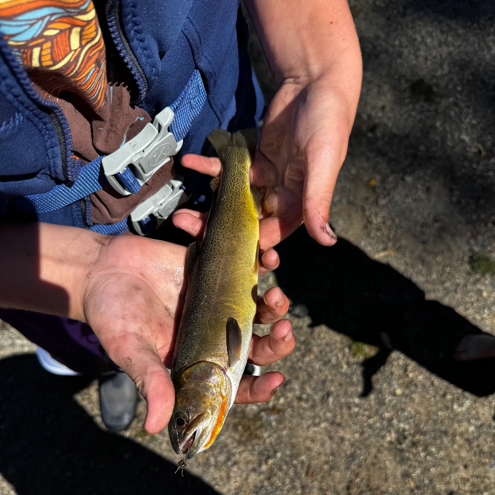 Snake River fine-spotted cutthroat trout caught on Fishbrain