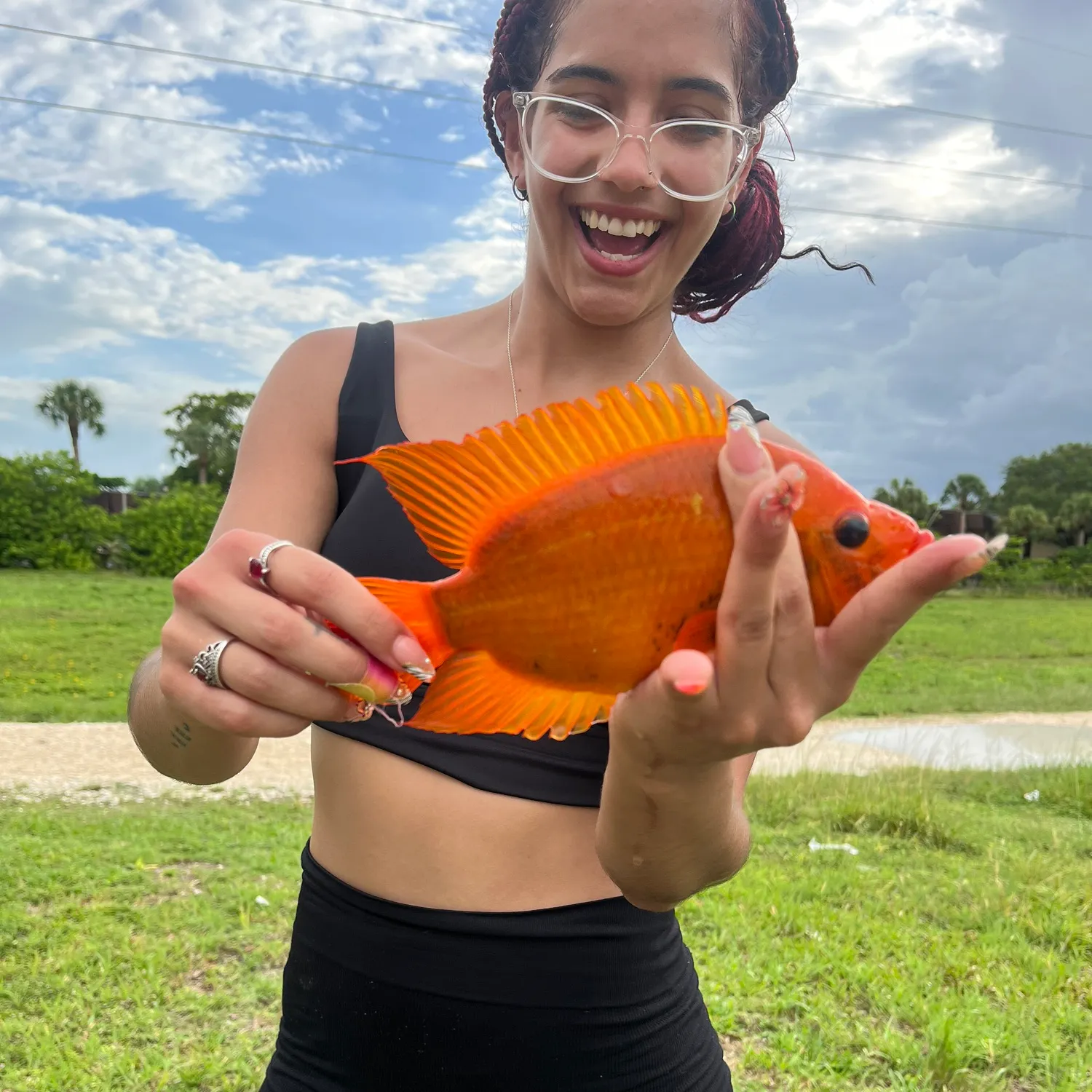 The most recent Red devil cichlid catches on Fishbrain